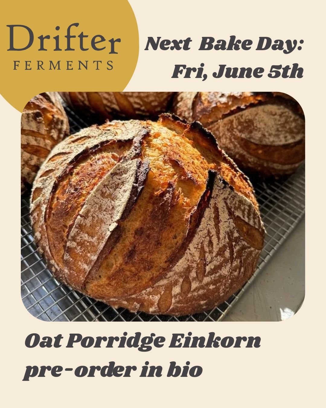 Get ready for our second Bake Day! 

We have a limited supply, so order now if you'd like a loaf. They&rsquo;re sure to sell out fast.