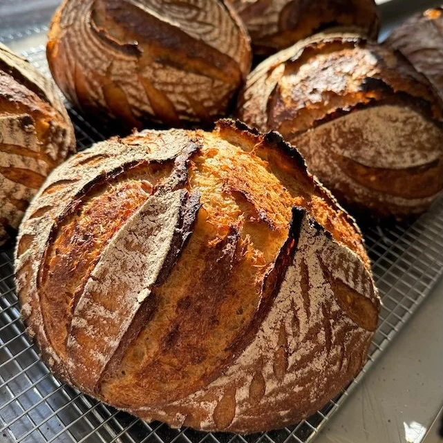 sourdough.png (Copy)