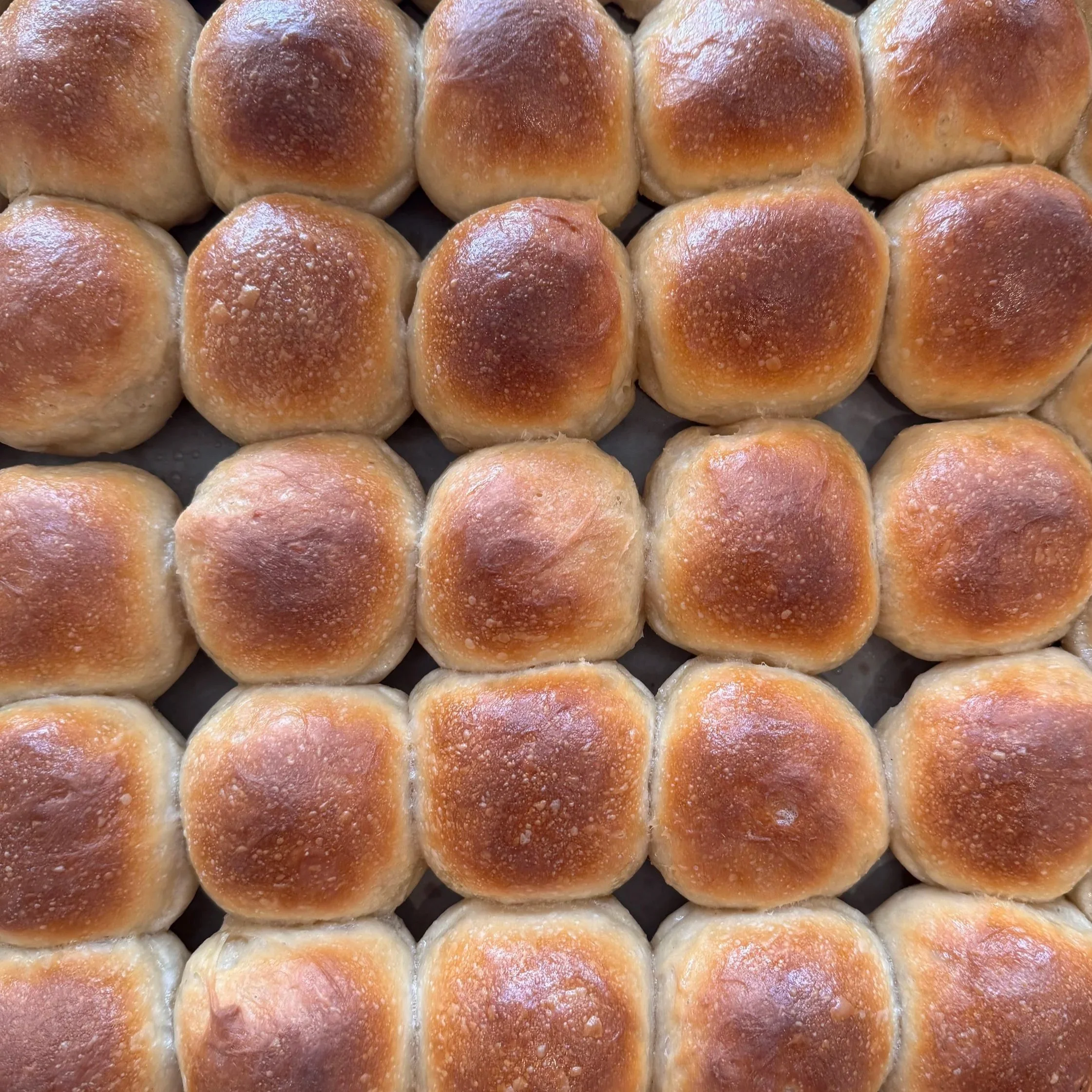 Sourdough Rolls (12 Count)