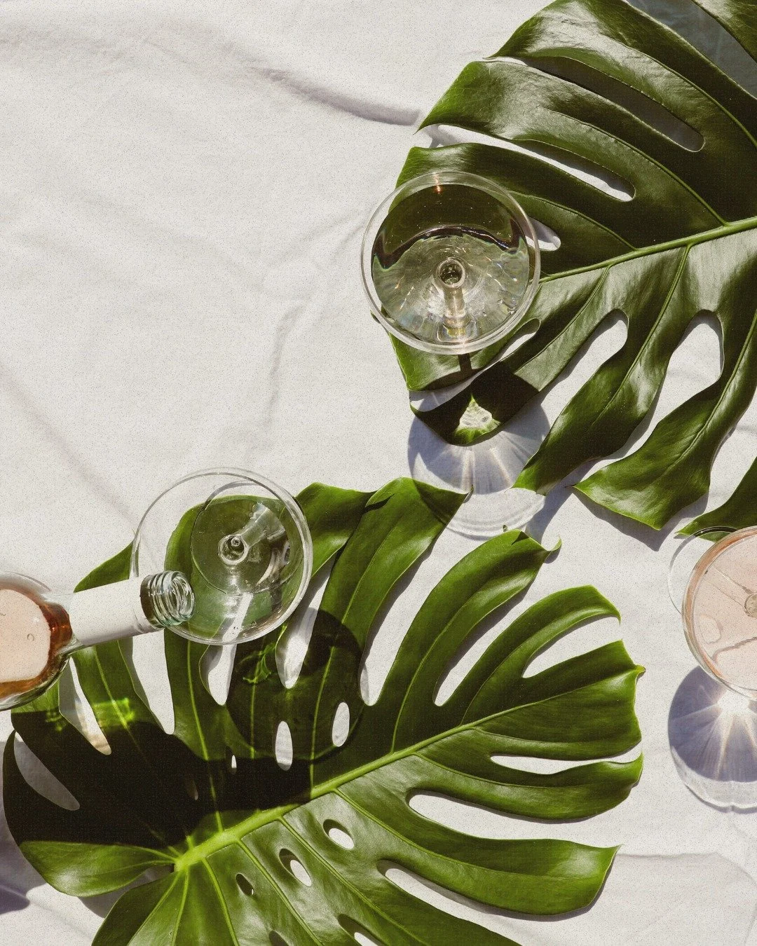 Looking to wind down with a cocktail, Repegs has exclusive offers at your favorite local spots. 🌿
Save on sips this week at:
— 10% off @bueno_wine_goods 
— 20% off @original40beer 
Check the app before your next outing and most importa