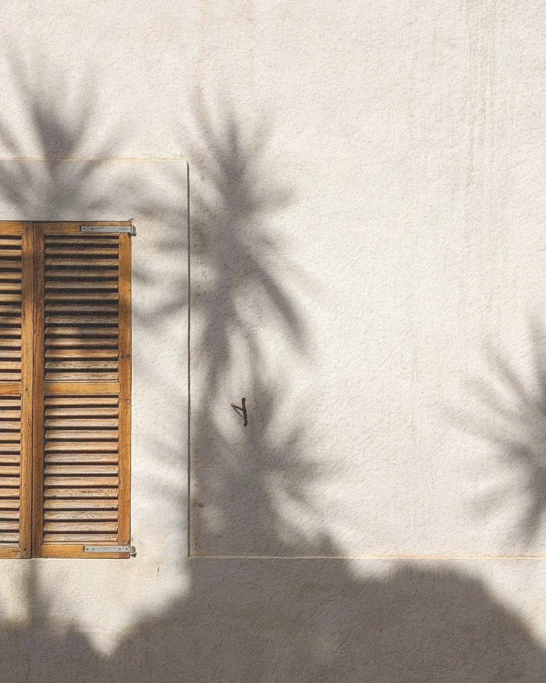 The weekend may be wrapping up, but the good stuff doesn’t have to. 🌙
Open the app, see what’s nearby, and keep the weekend energy going just a little longer.
#repegs #localbusiness #supportlocal #sundayvibes #localperks #sandiegoeats