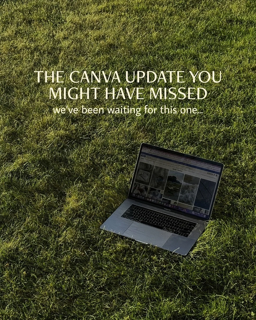 I feel like Canva randomly rolled this out one day without telling anyone, and I have been looooving it! 

#canvatips #canvahack #canvadesigns #graphicdesign