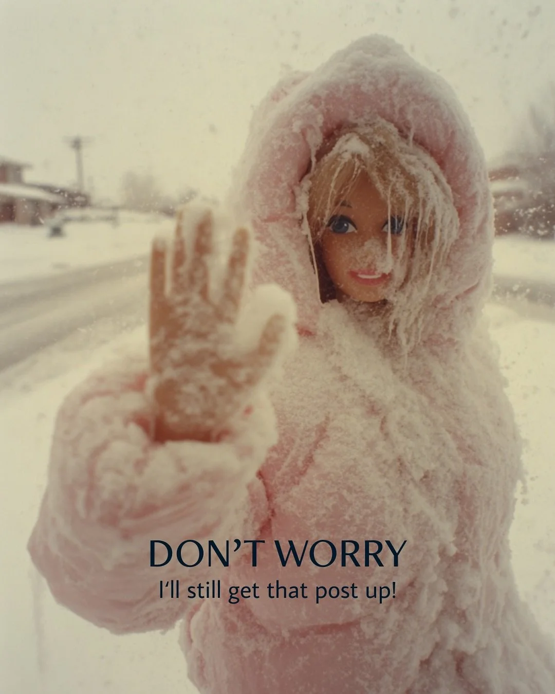 Ah yes, our yearly snow + ice event where all of us in the South panic, the milk and bread sell out, and no one knows how to drive or what to do. Guess I&rsquo;ll be under a blanket catching up on my shows. 🤭

Meme photos from @originalaigallery 

#