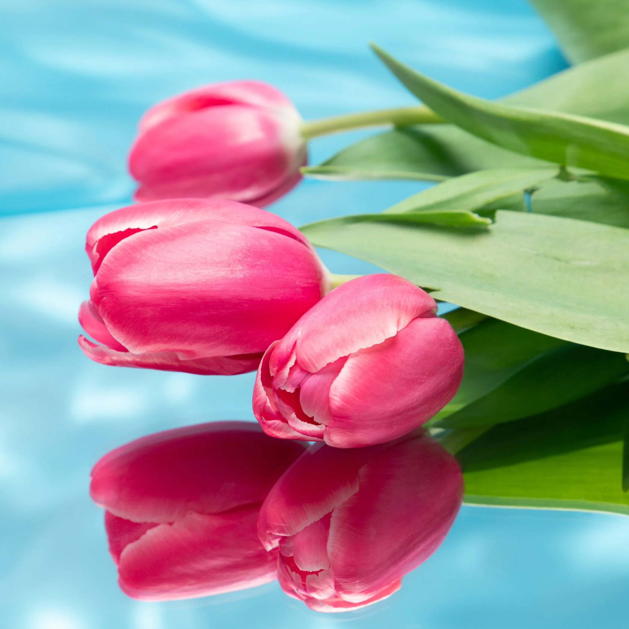 object history-017-Edit-Edit-website jpegs-2.jpg