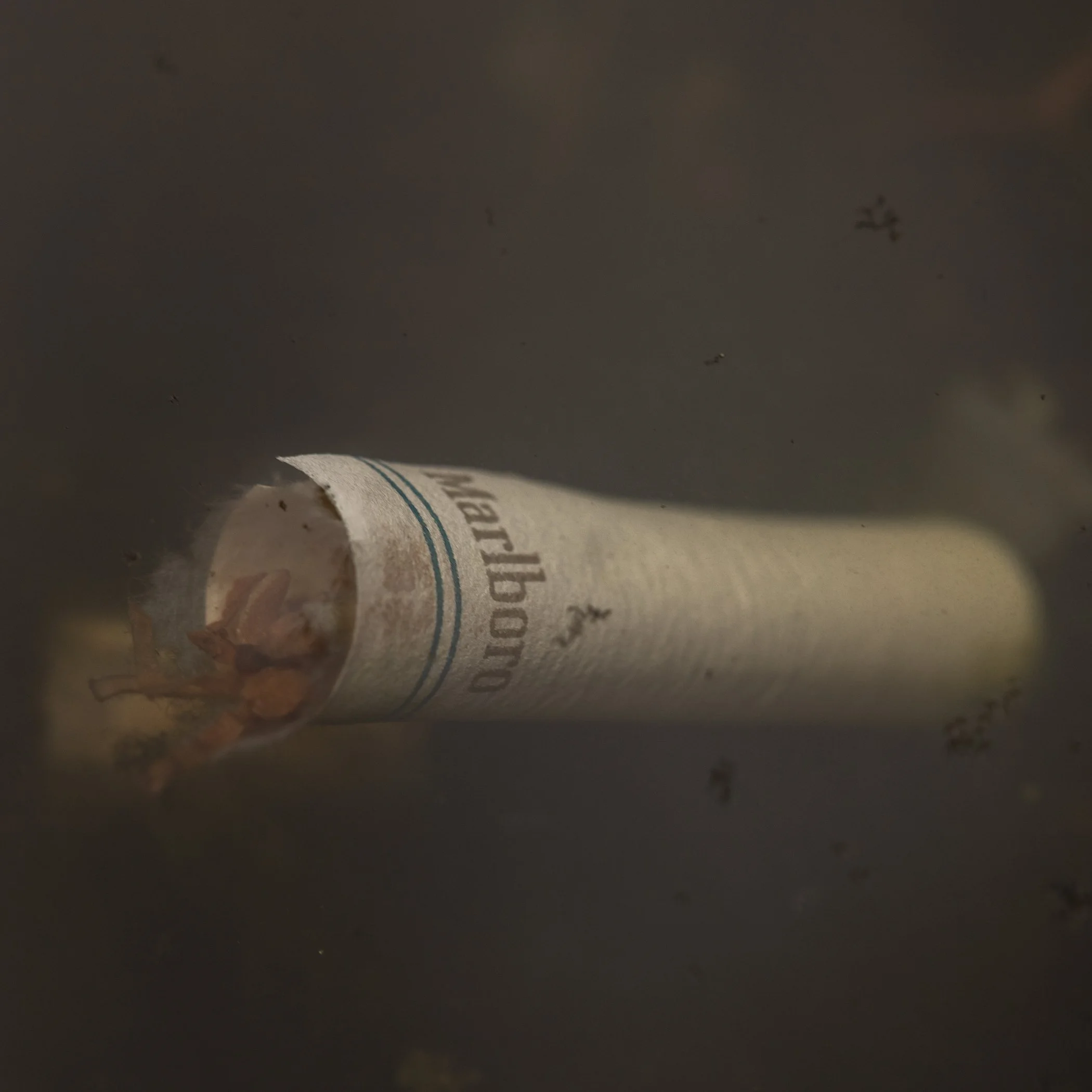 20230421-untitled shootuntitled shoot-056-website jpegs-2.jpg