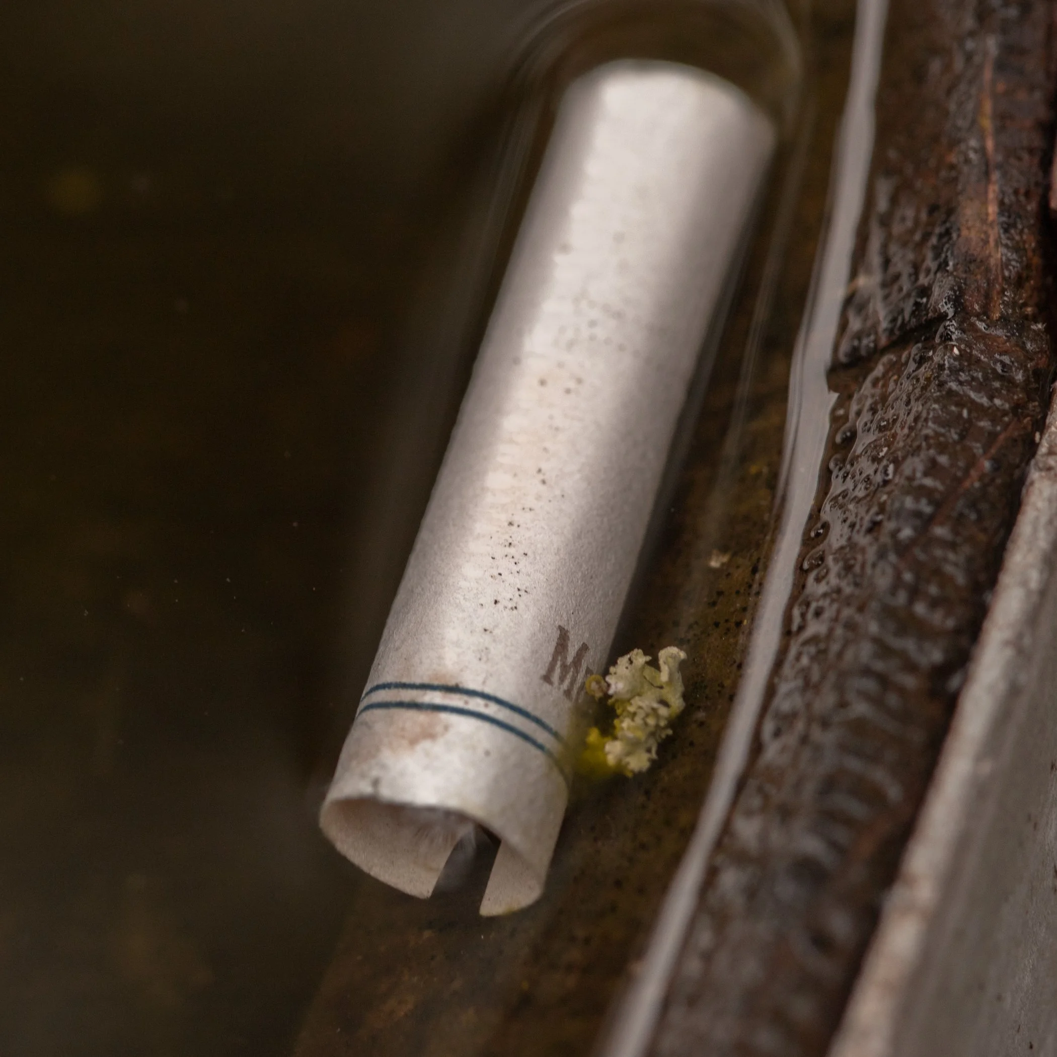 20230421-untitled shootuntitled shoot-054-website jpegs-3.jpg