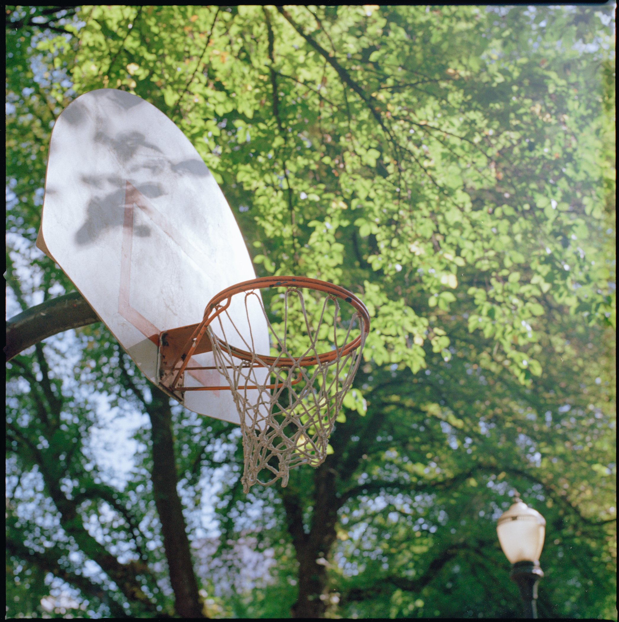 untitled-website jpegs-2.jpg