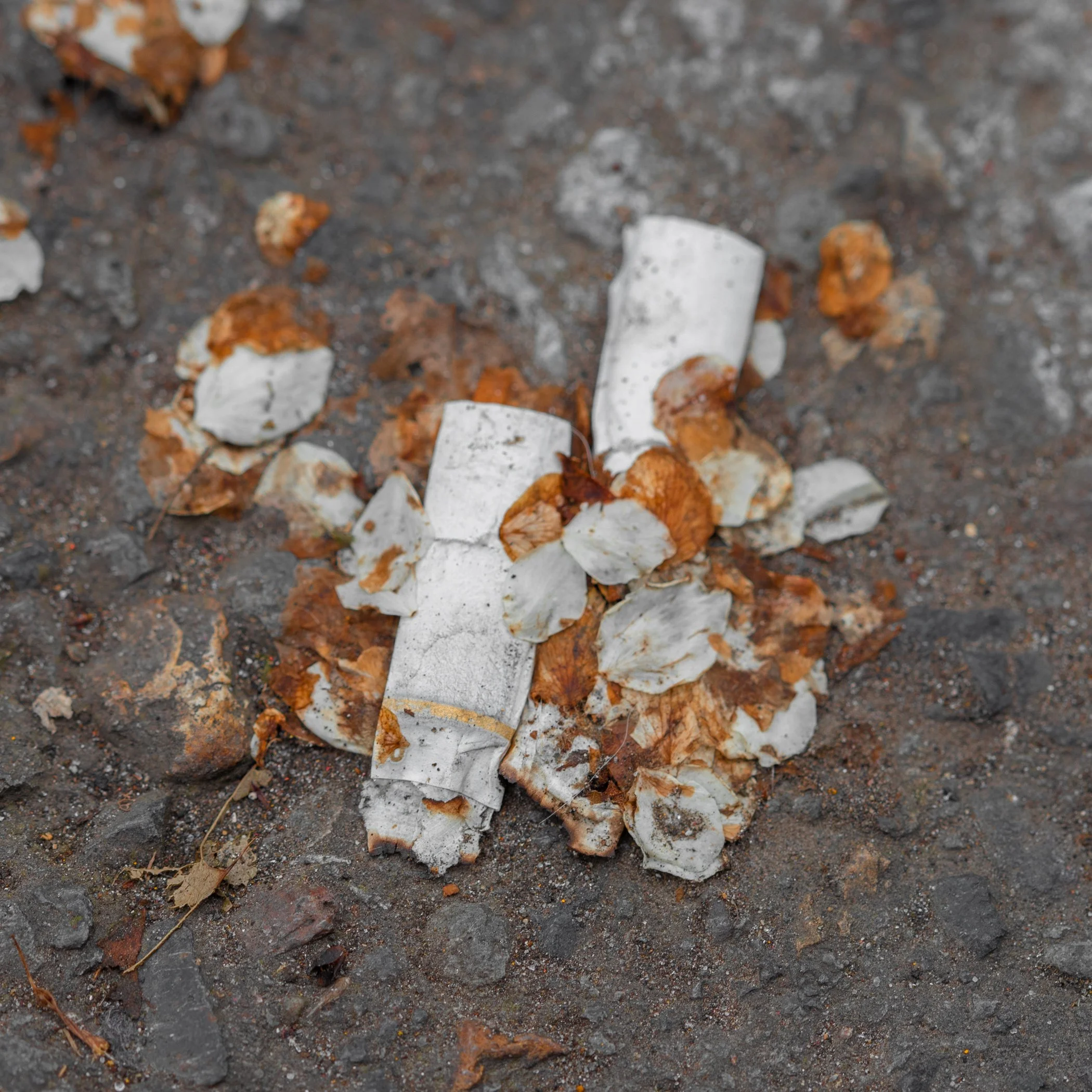 20230421-untitled shootuntitled shoot-084-website jpegs-2.jpg