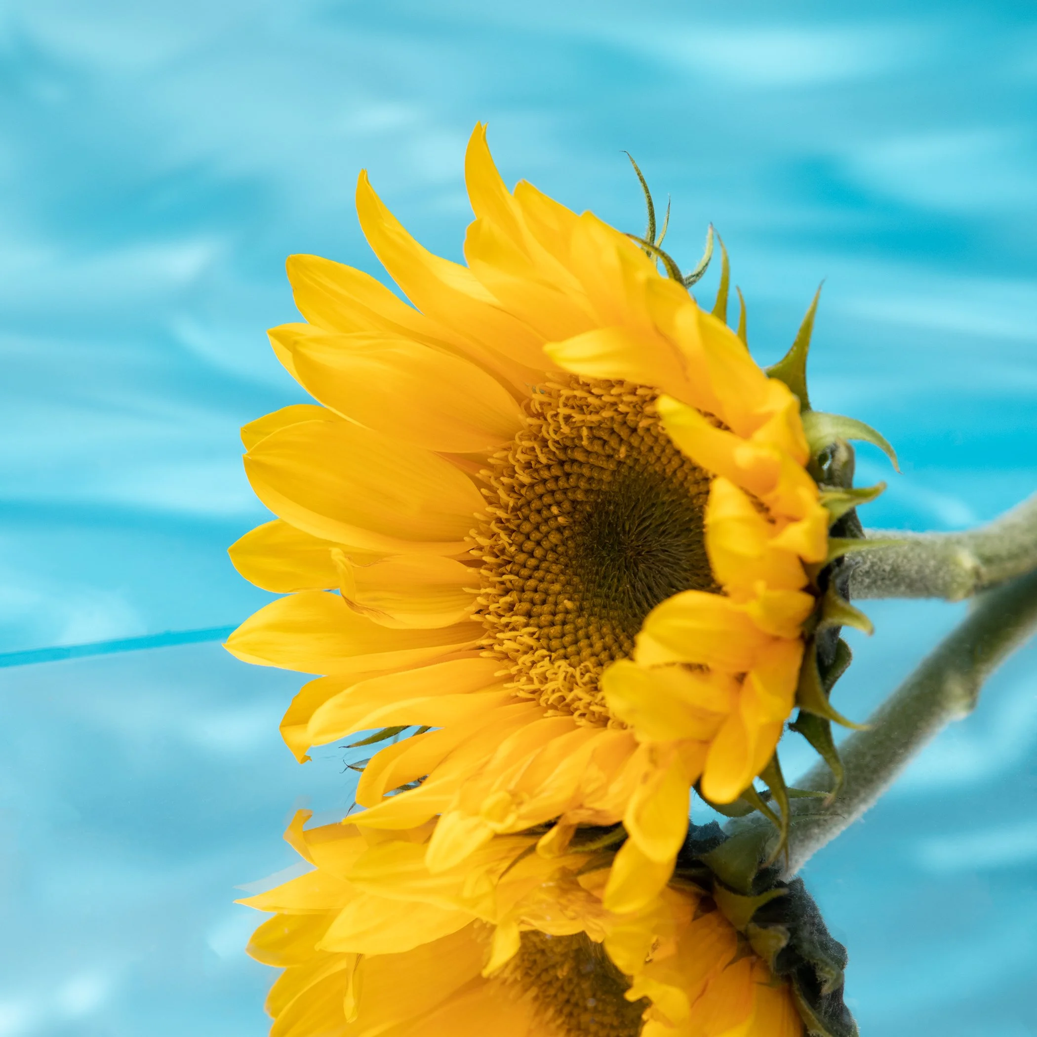 object history-065-Edit-Edit.jpg