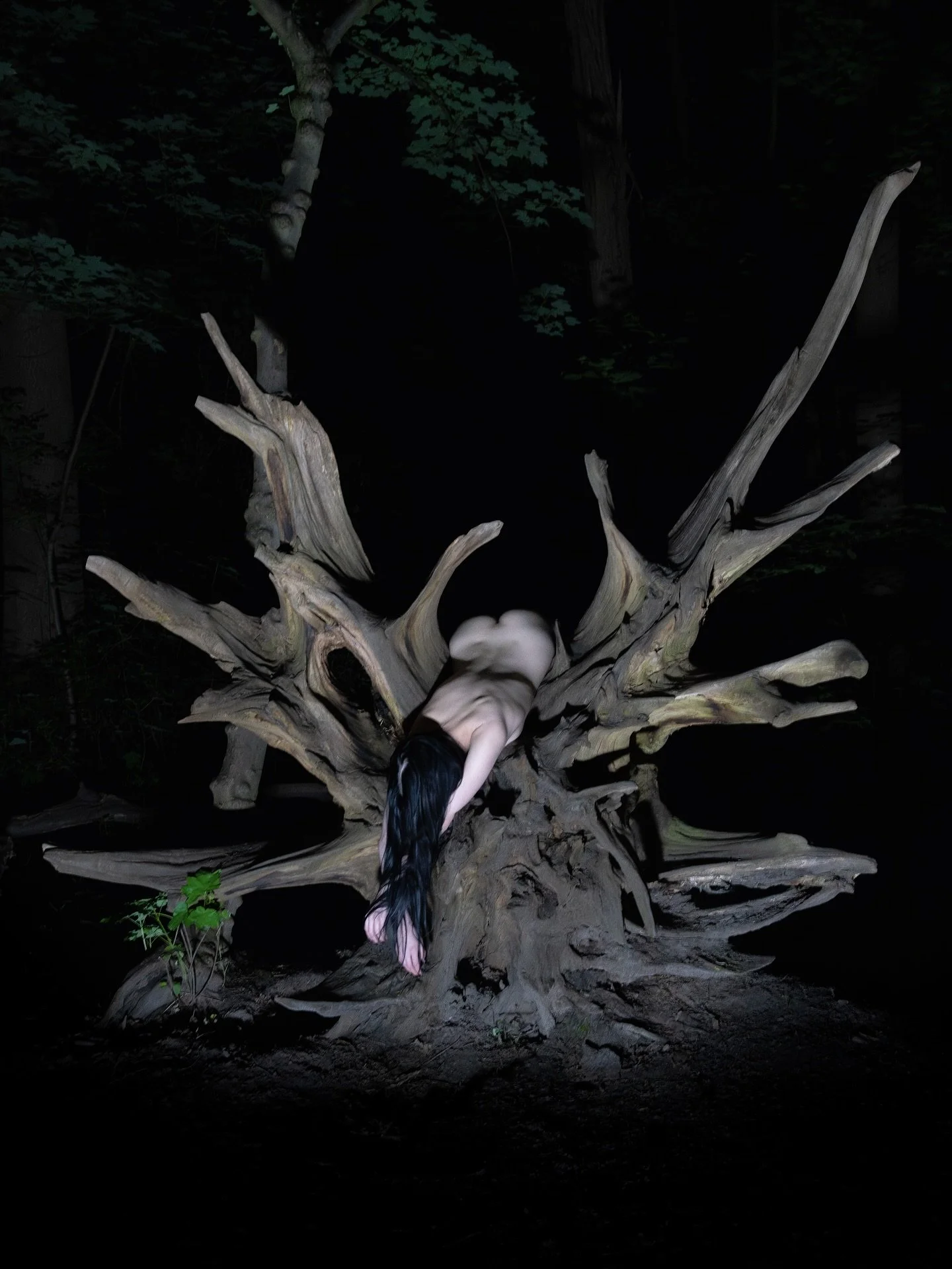 i have descended into 
madness of a madmen 
words spilling out like fresh blood 
soul fragments trapped in limbo 
russian white winter nights 
ribcage teared wide open 

a maze of despair unfolding 
death creeps up in intertwined vines 
sprouting spl