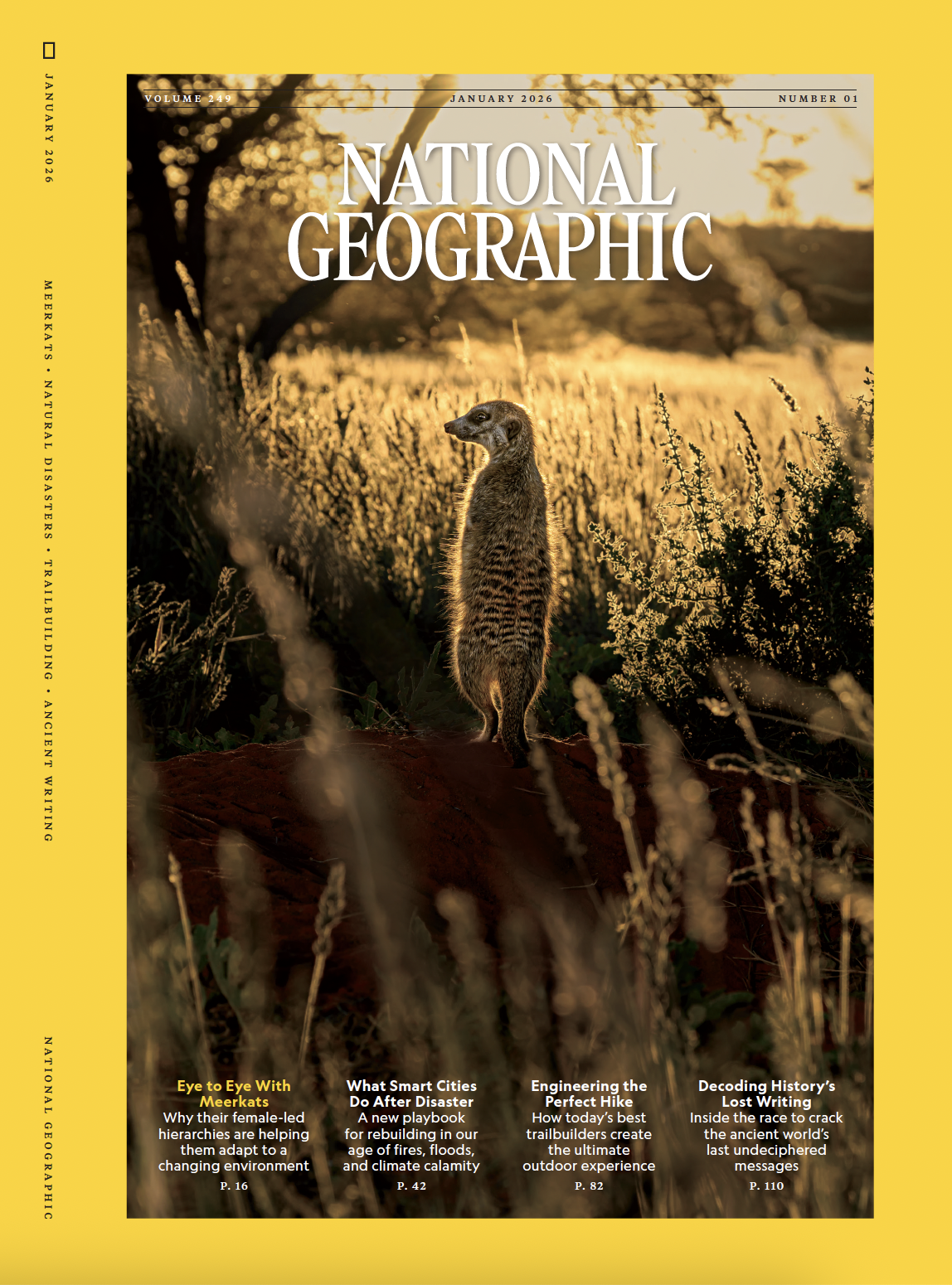 Screenshot 2026-01-07 at 12.33.49 PM.png