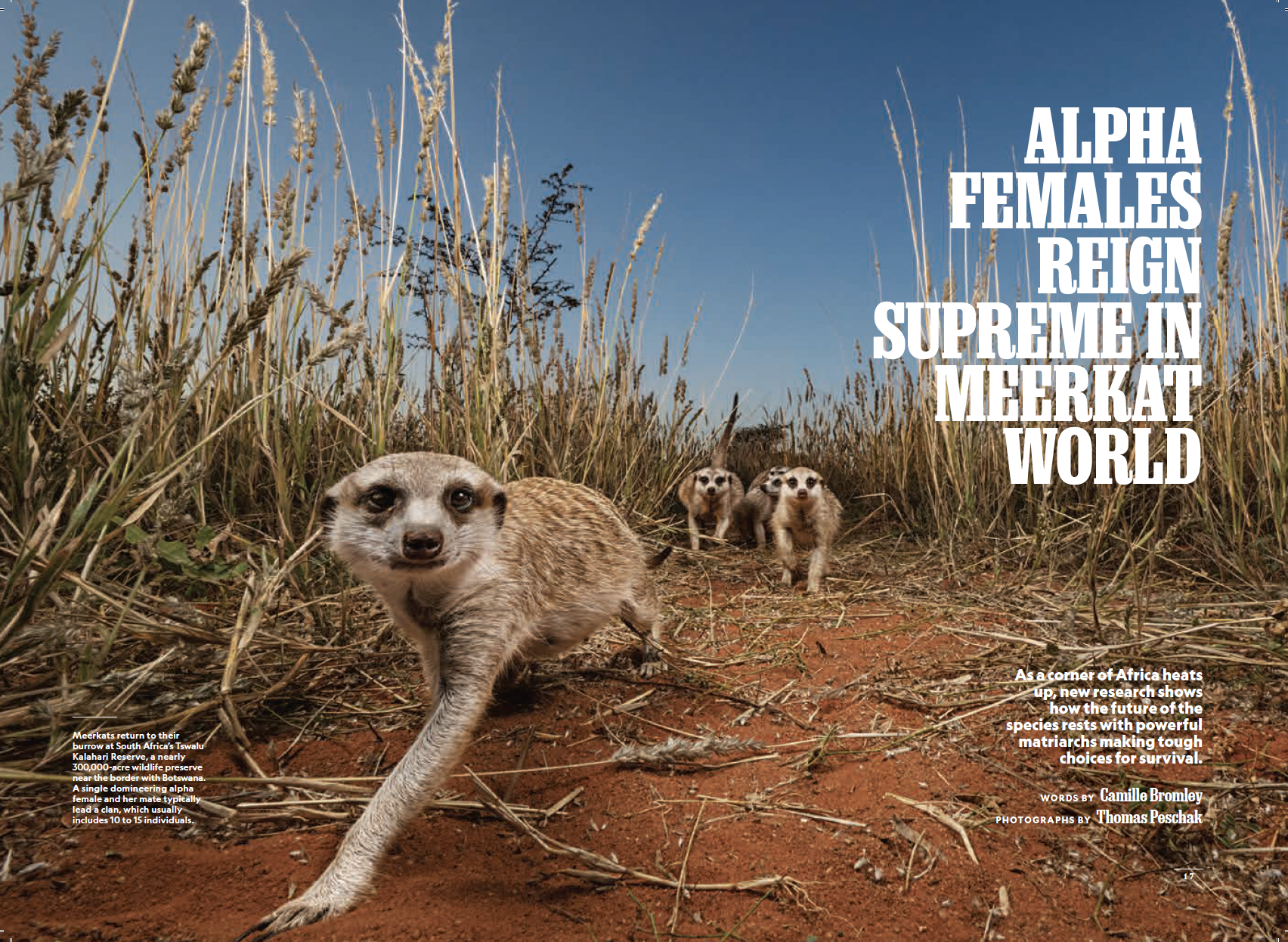 Screenshot 2025-12-16 at 9.33.02 PM.png