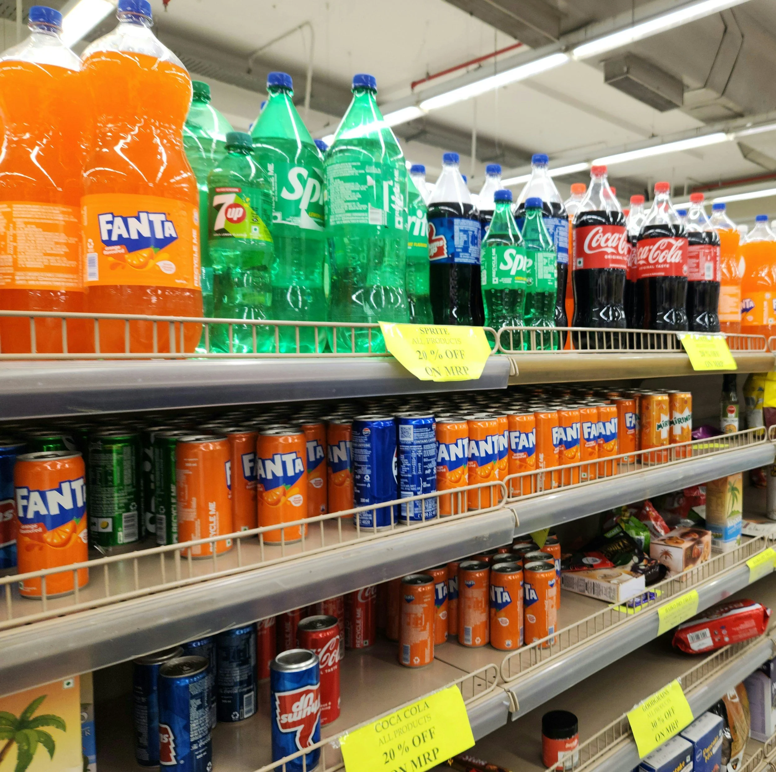 $6 a Day: The Reality of Food Stamps in the Bay Area