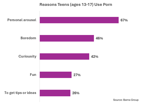 Data For A Difference | Youth and Pornography: A Growing Crisis