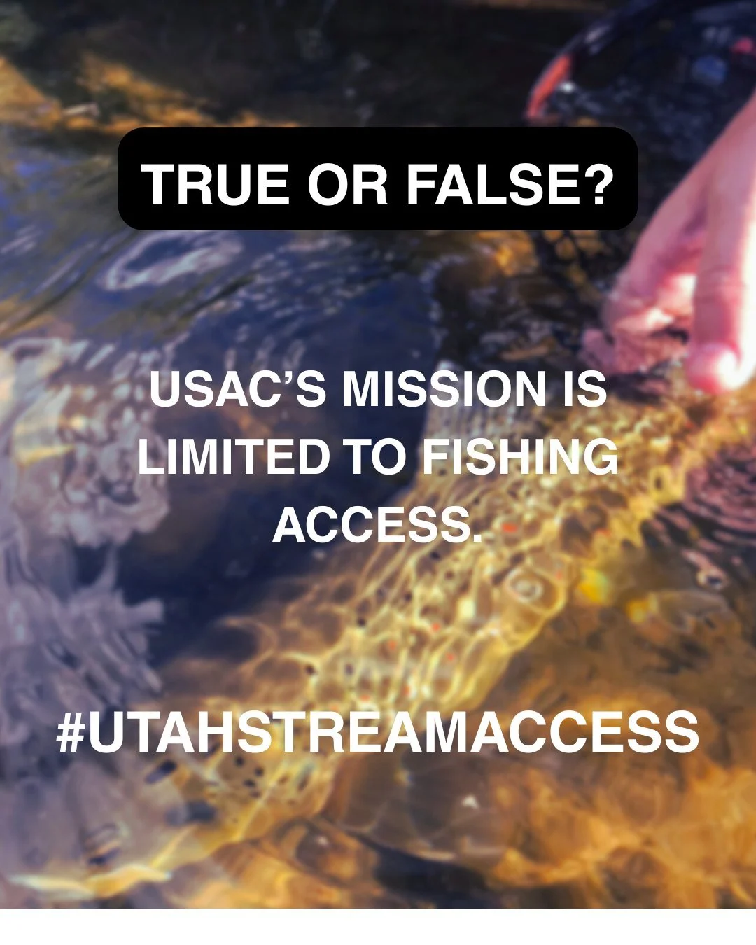 True or False: USAC&rsquo;s mission is limited to fishing access.

FALSE: USAC&rsquo;s mission includes protecting public access for fishing, boating, floating, wildlife observation, and other recreational uses. #UtahStreamAccess #AccessForAll