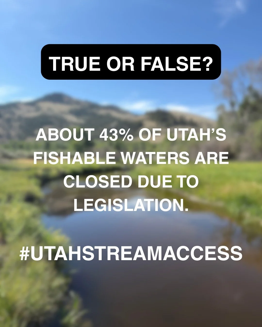 True or False: About 43% of Utah&rsquo;s fishable waters are closed due to legislation.

TRUE: Roughly 2,700 miles of Utah&rsquo;s 6,300 miles of fishable waters are legally closed to the public absent written permission from whoever owns the beds ov