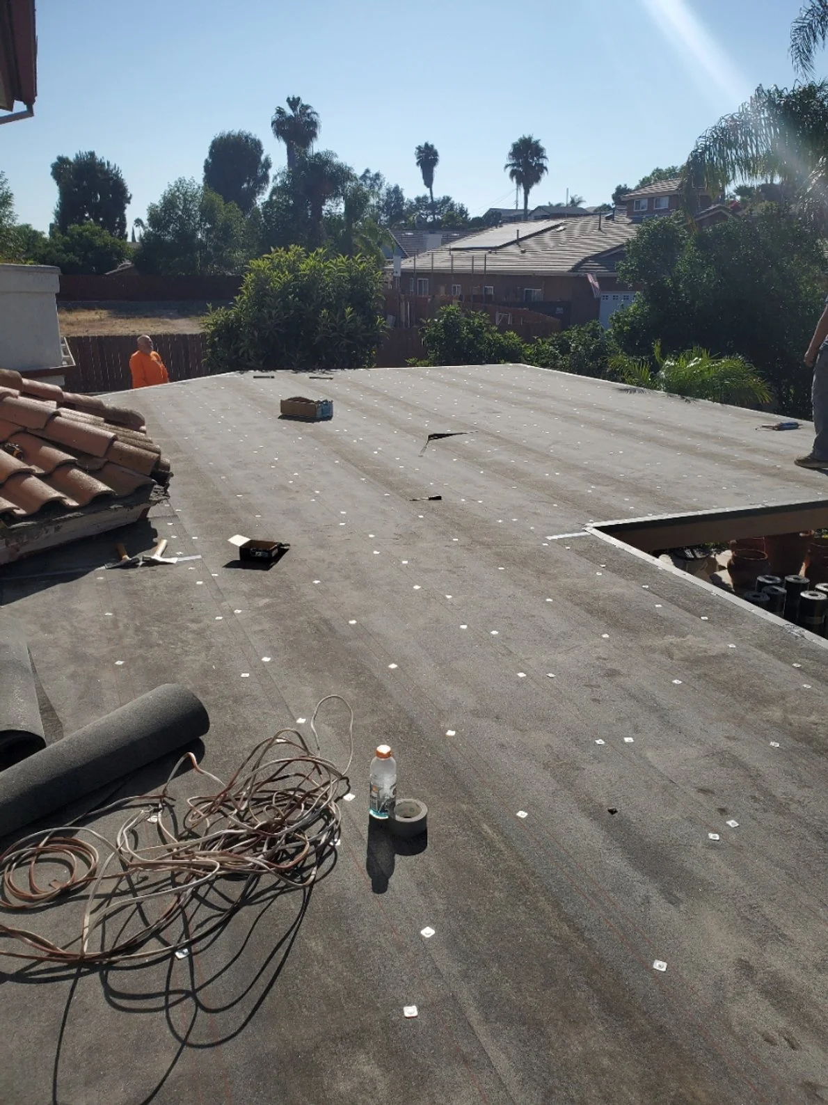 20240729_171418 - Copy (2) - Copy.jpg