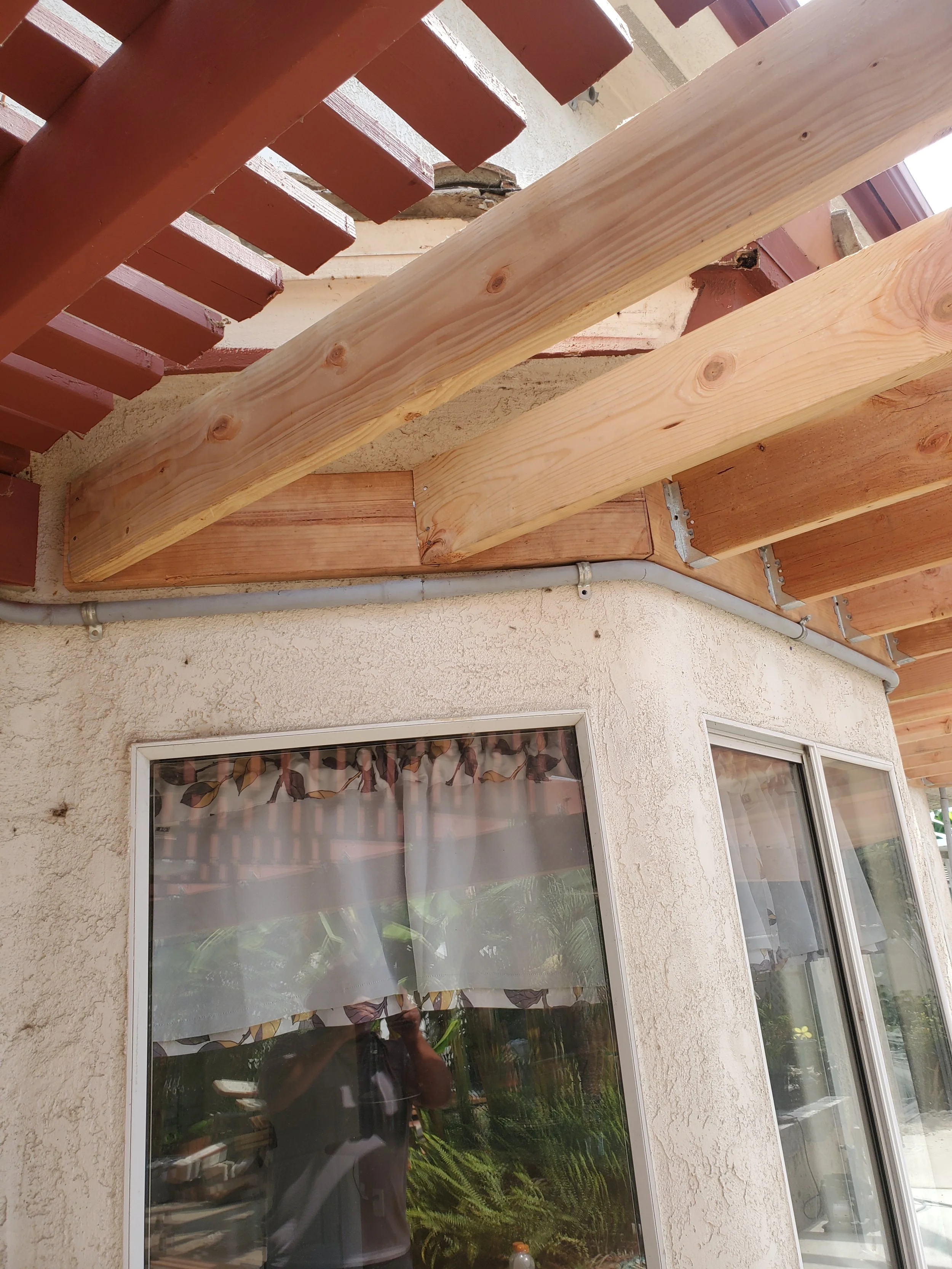 20240723_152023 - Copy - Copy - Copy.jpg