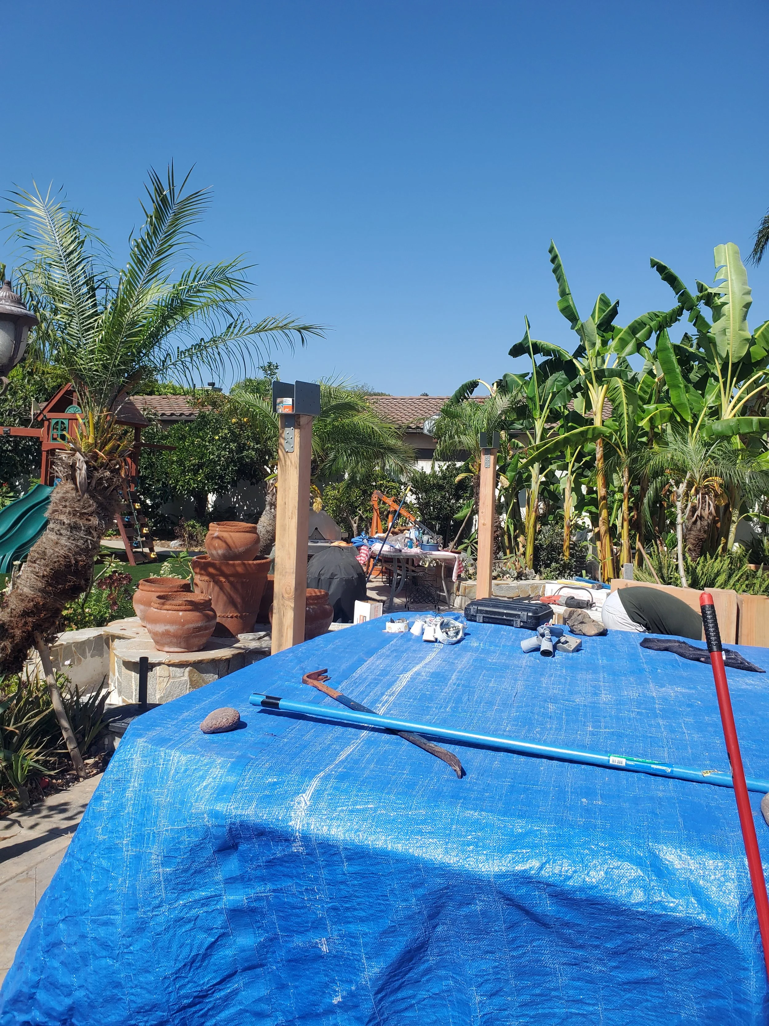 20240719_154857 - Copy - Copy - Copy.jpg