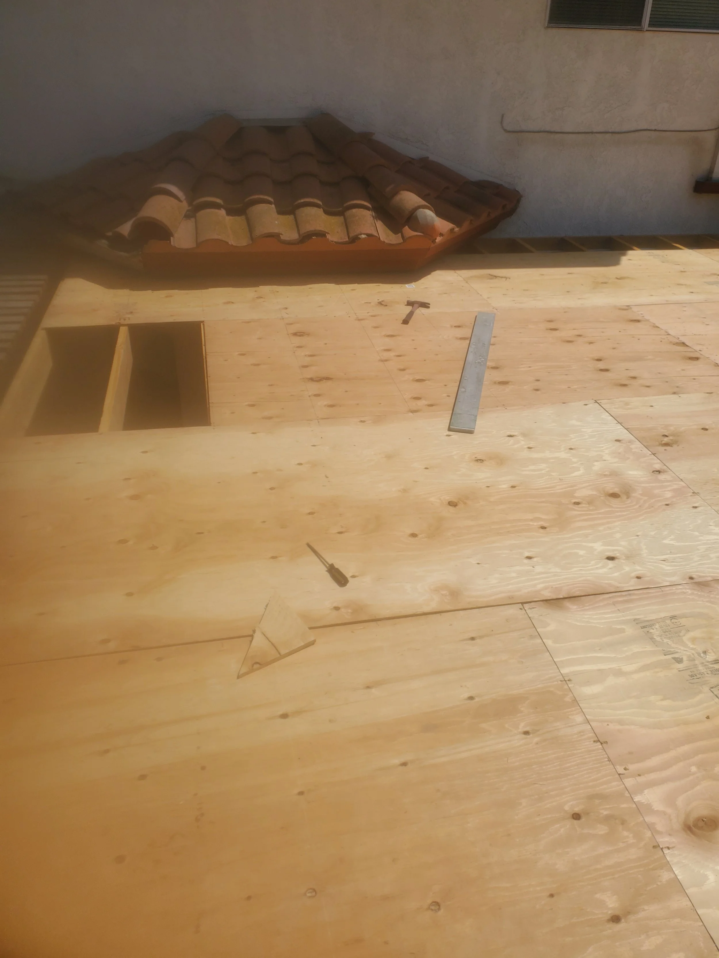 20240725_144125 - Copy - Copy - Copy.jpg