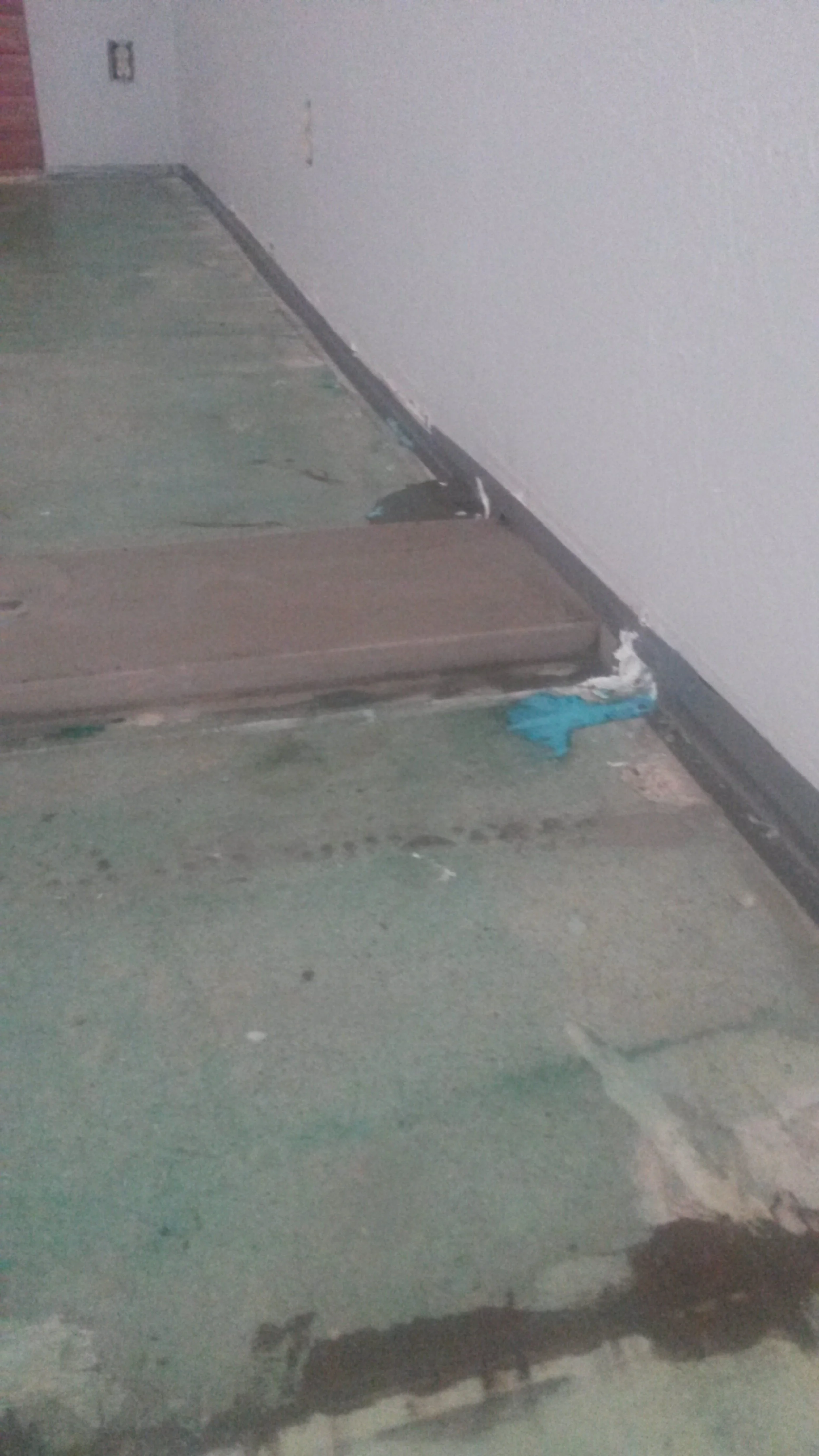 20150527_120333 - Copy.jpg