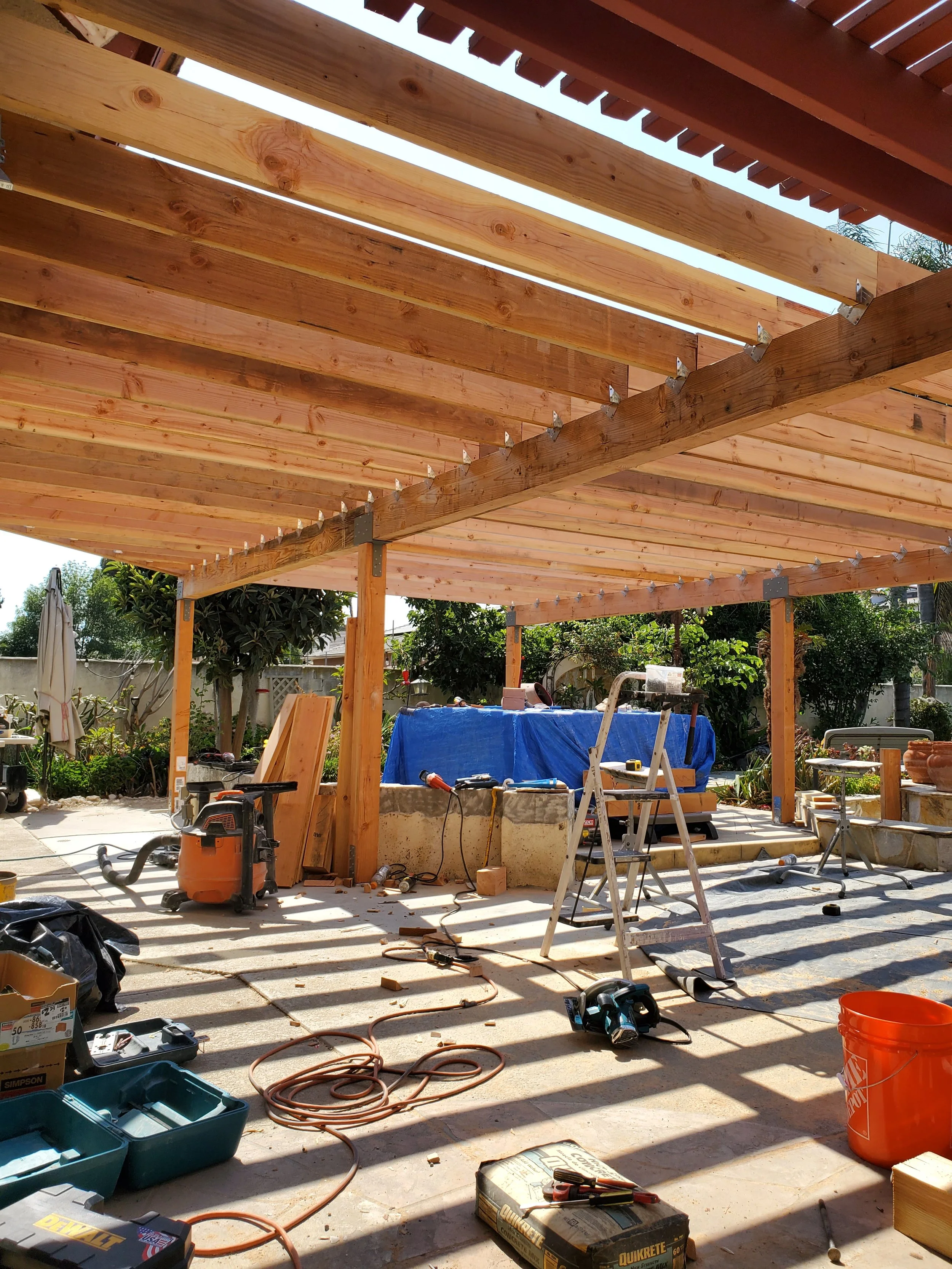 20240724_153917 - Copy - Copy - Copy.jpg