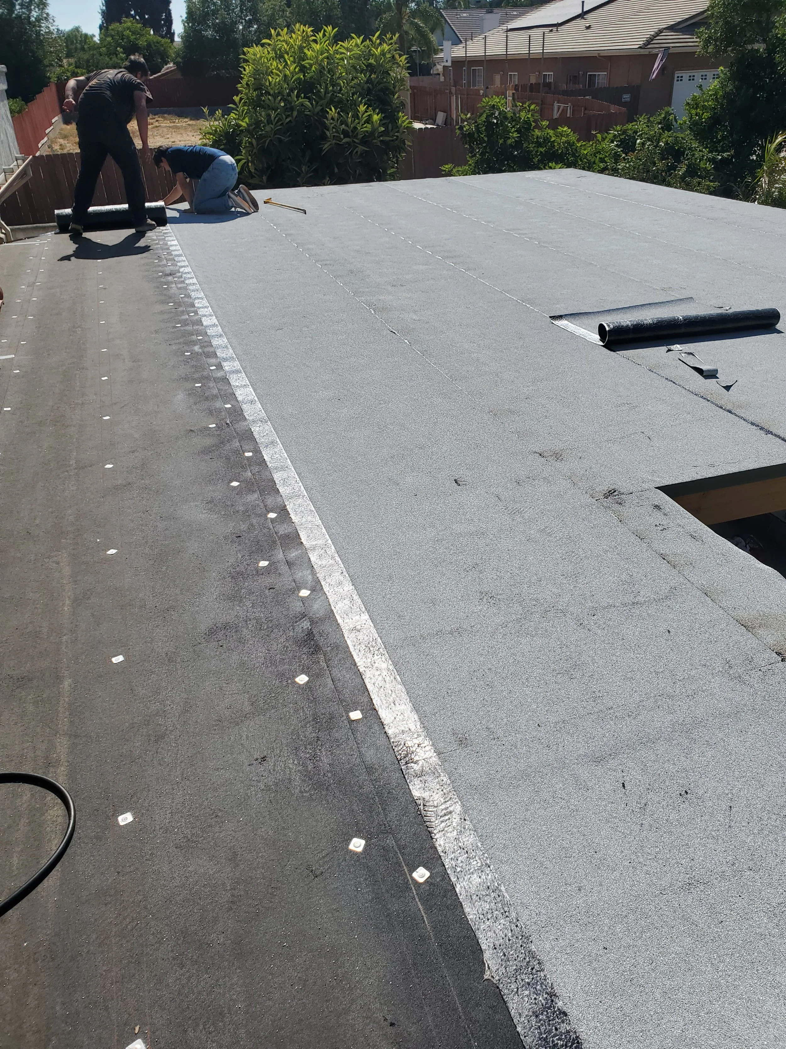 20240730_161155 - Copy - Copy - Copy.jpg