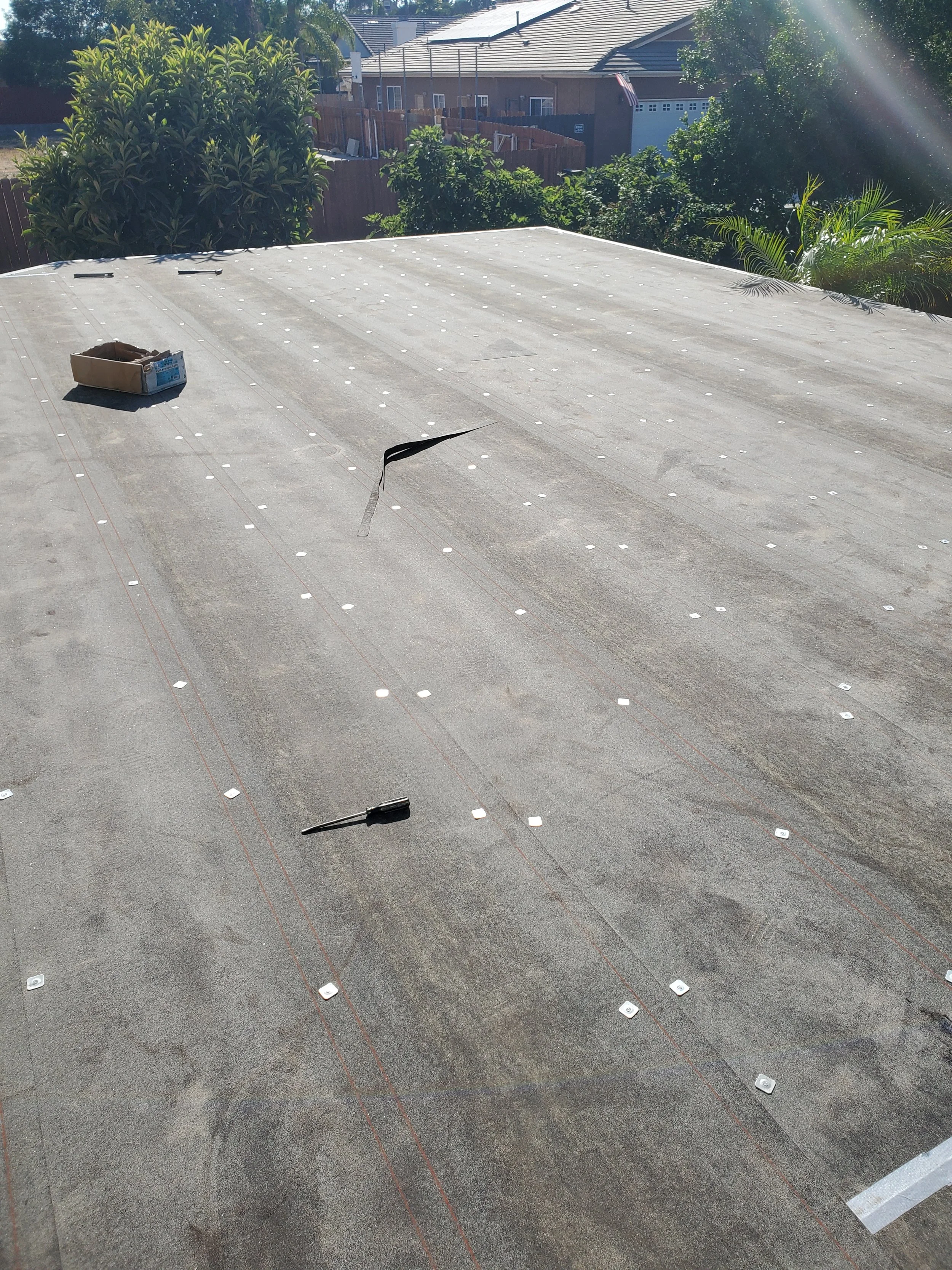 20240729_171408 - Copy - Copy - Copy.jpg