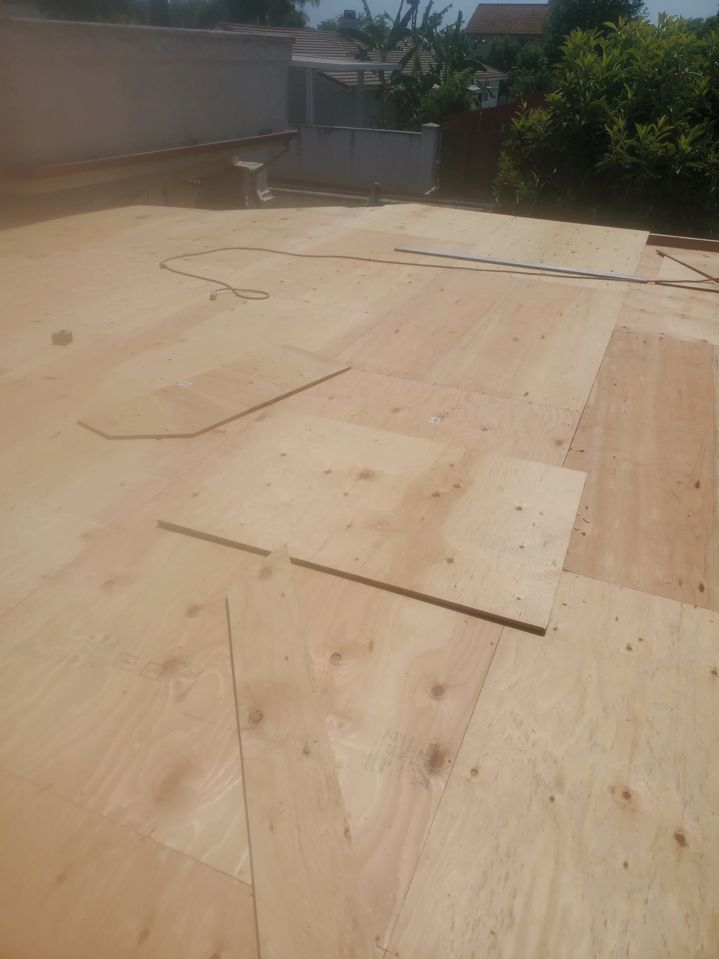 20240725_144129 - Copy - Copy - Copy.jpg