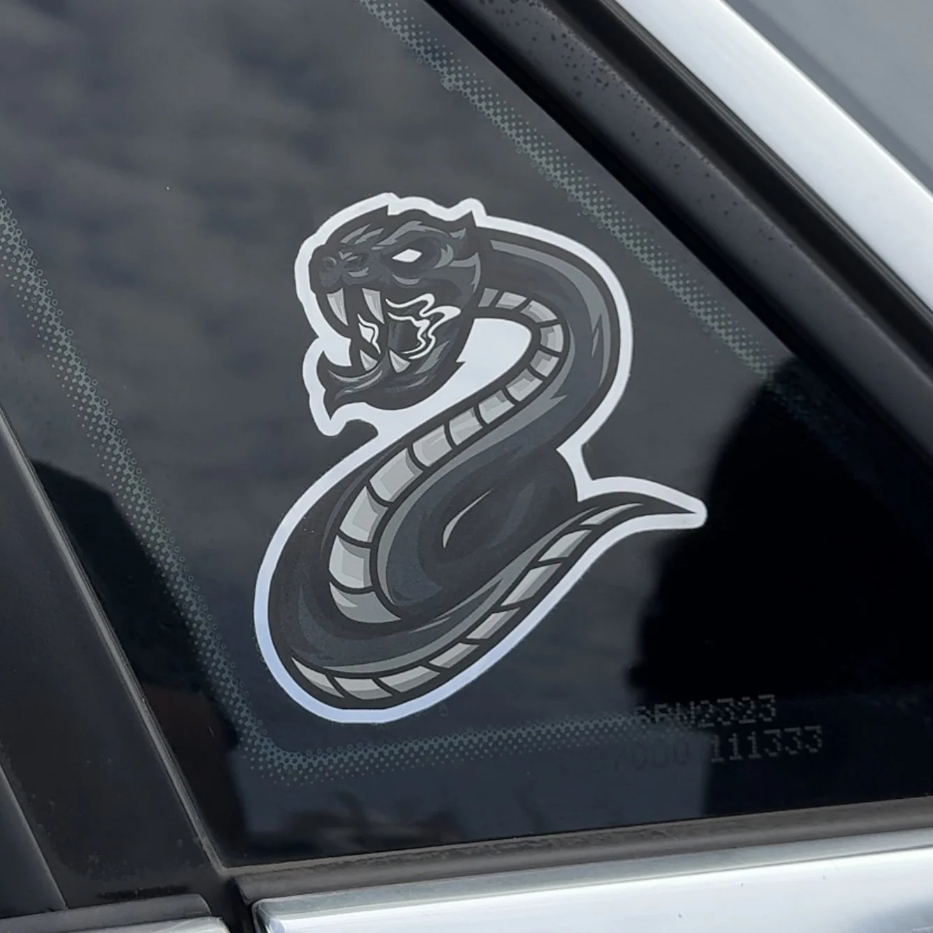 Black Chrome Snake.jpg