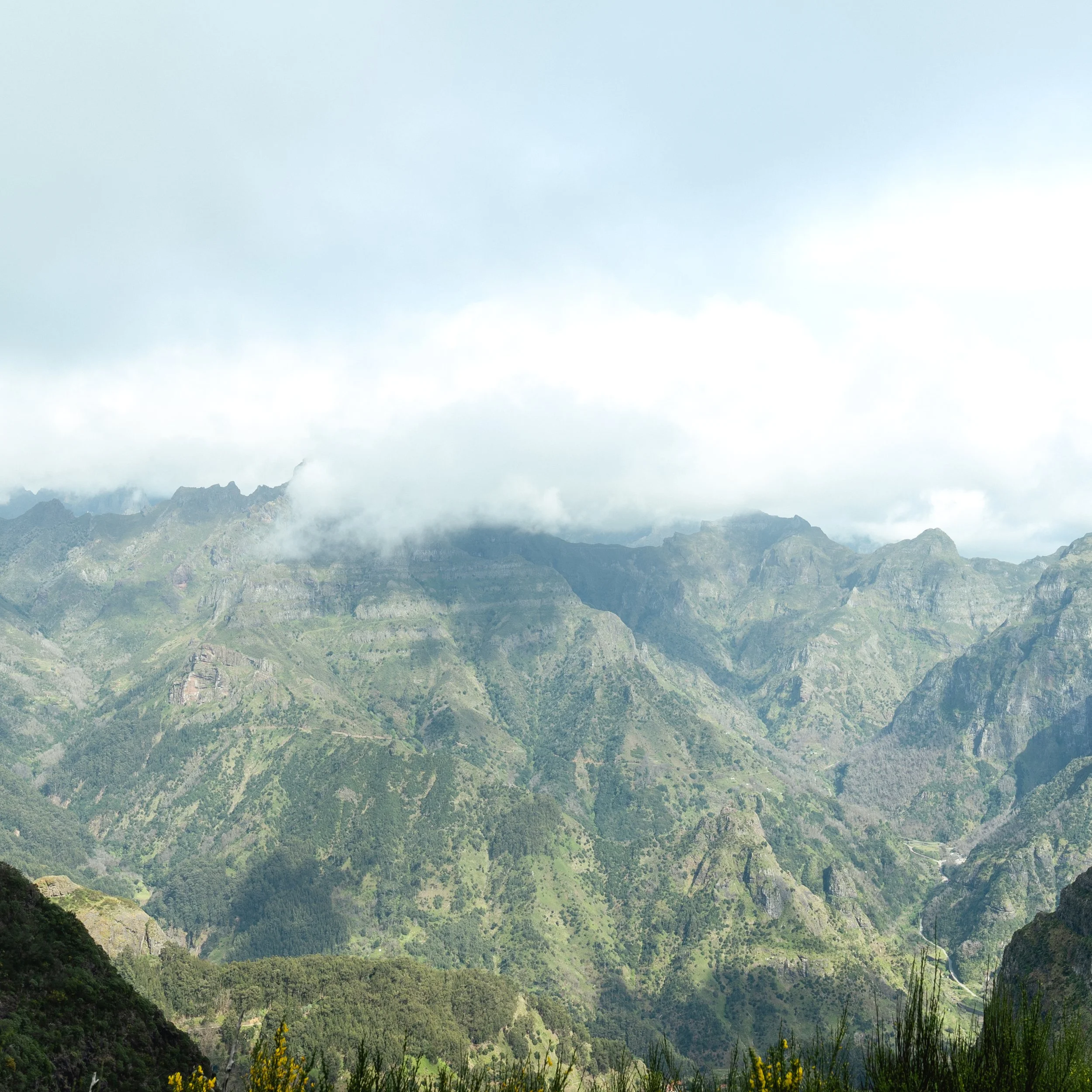 Madeira PR17 Landscape-5.jpg