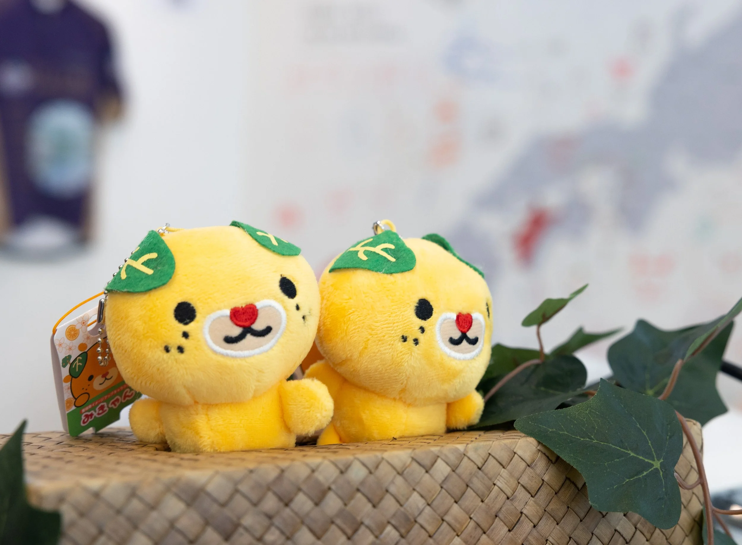 Chris Kilmann - Japantenna x Ehime-7075.jpg