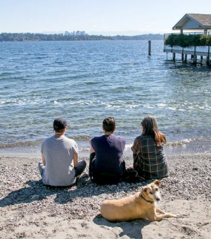 Denny Blaine Park for All