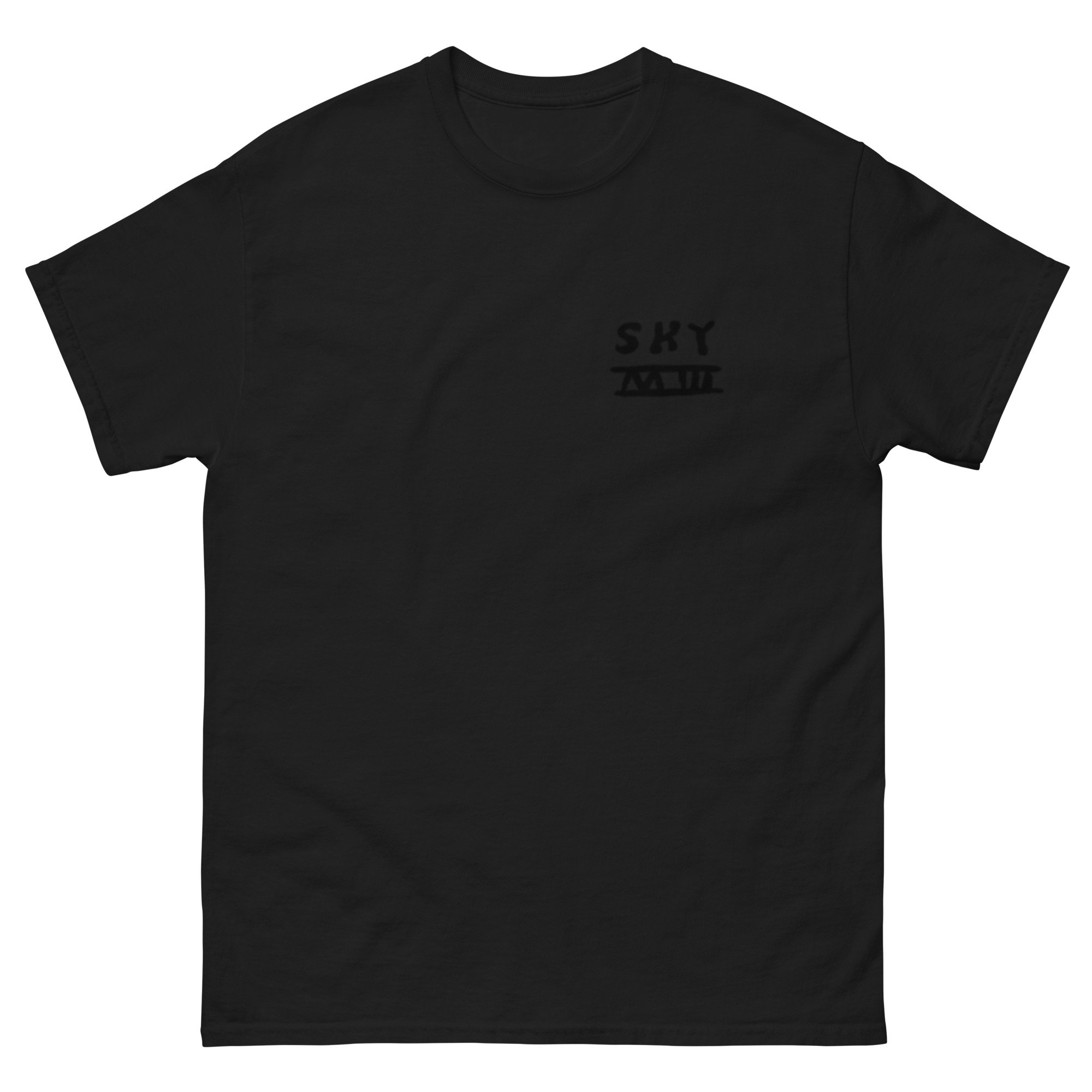 unisex-classic-tee-black-front-66dce69617bd4.jpg