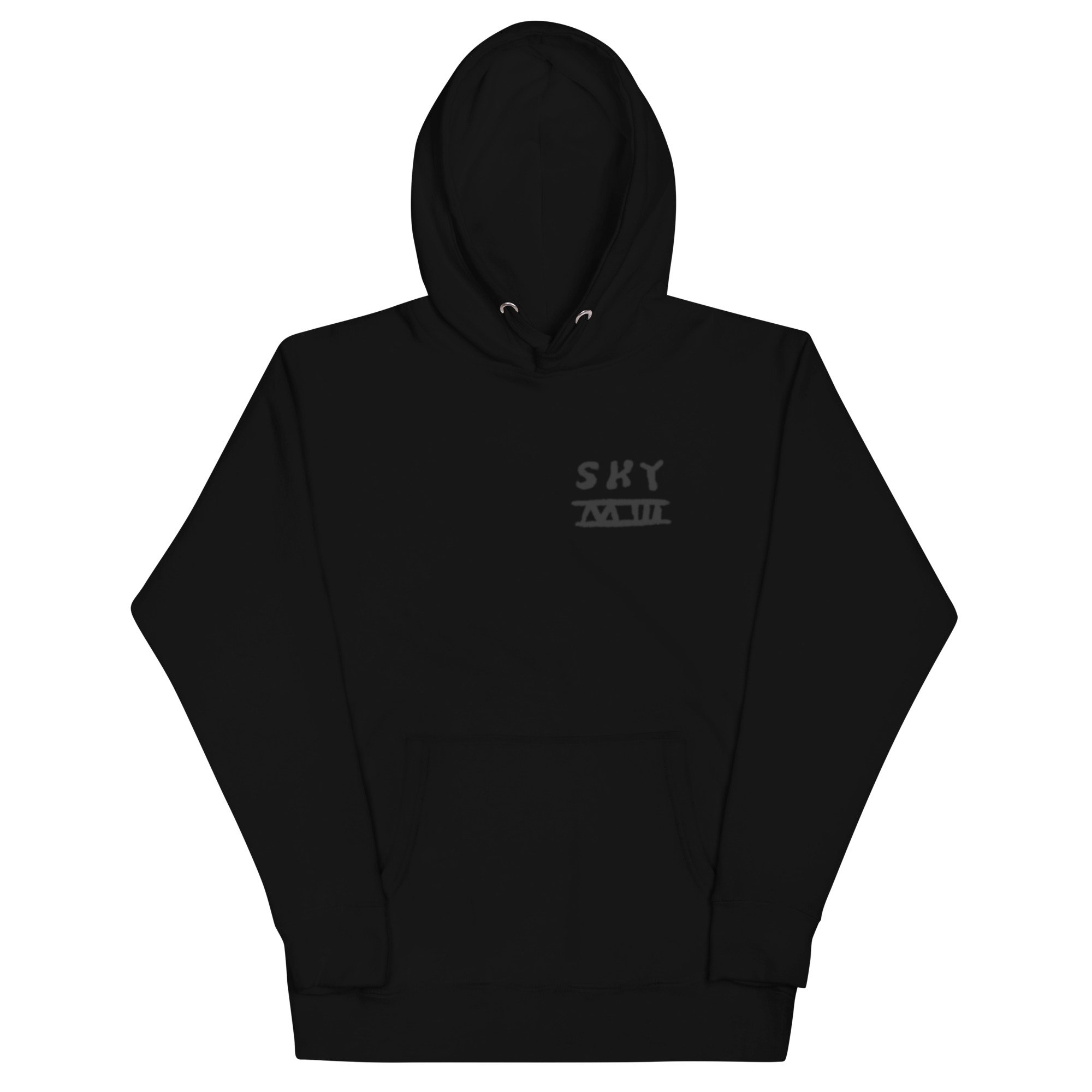 unisex-premium-hoodie-black-front-66dcee467a884.jpg