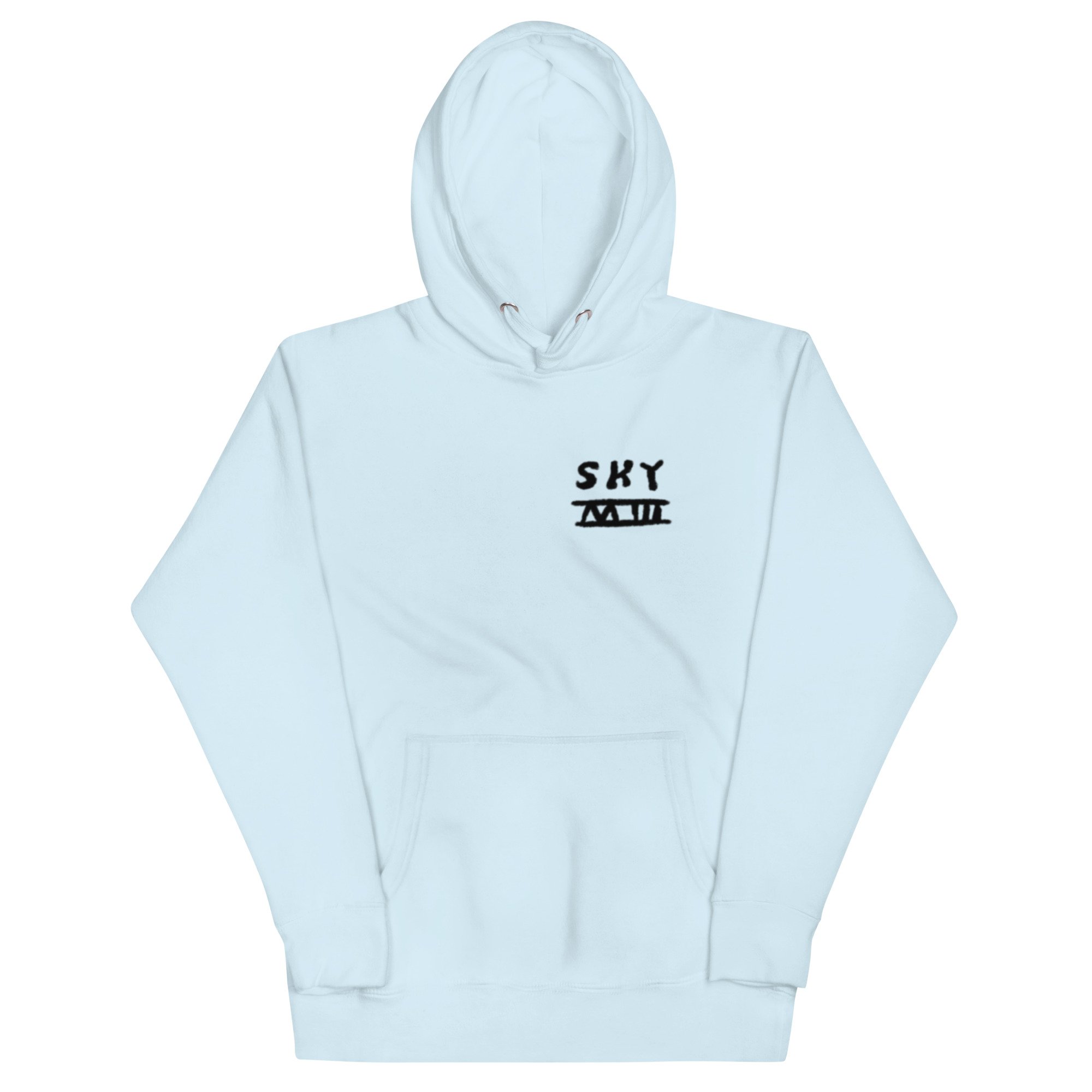 unisex-premium-hoodie-sky-blue-front-66dcee467f668.jpg