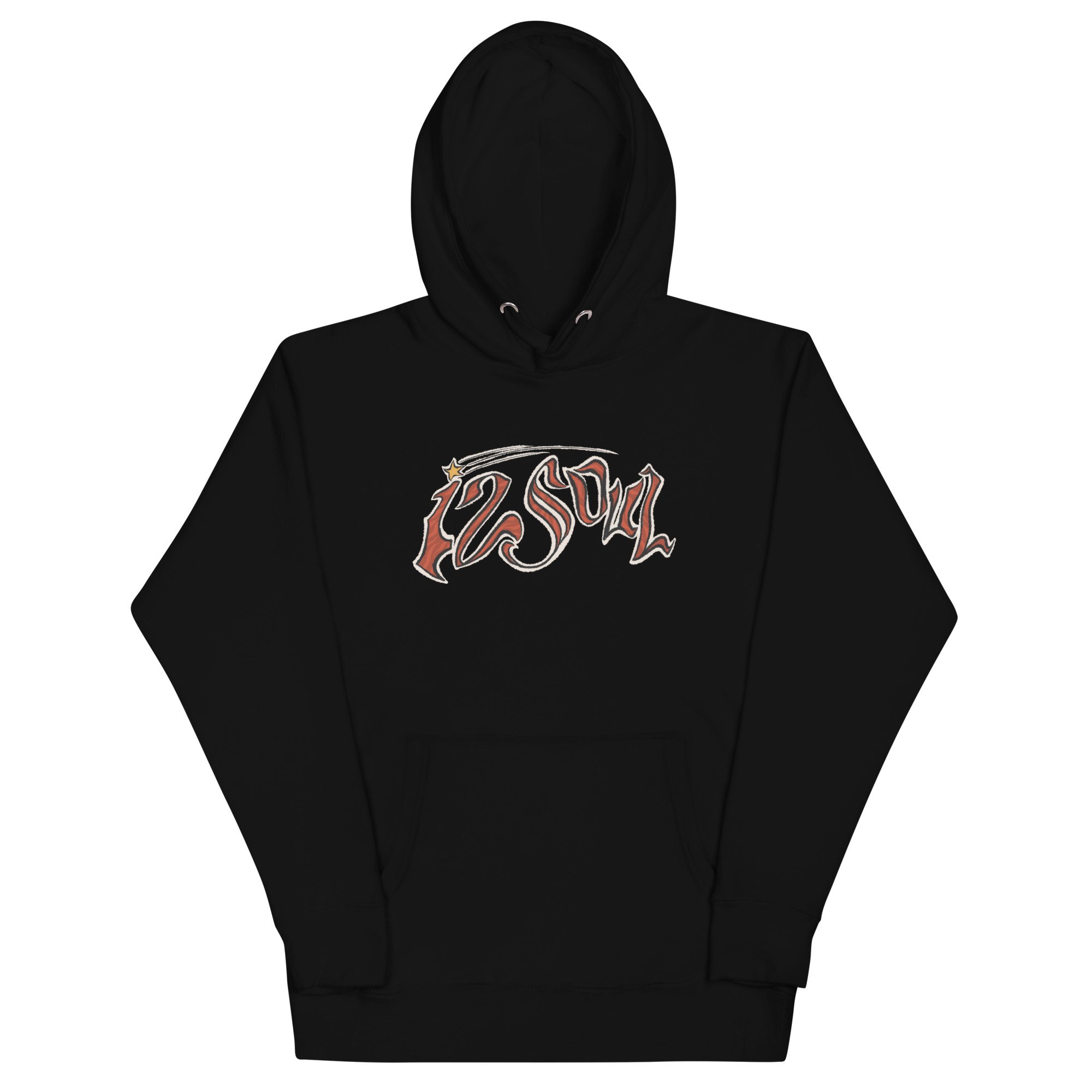 unisex-premium-hoodie-black-front-6727c56a23da9.jpg