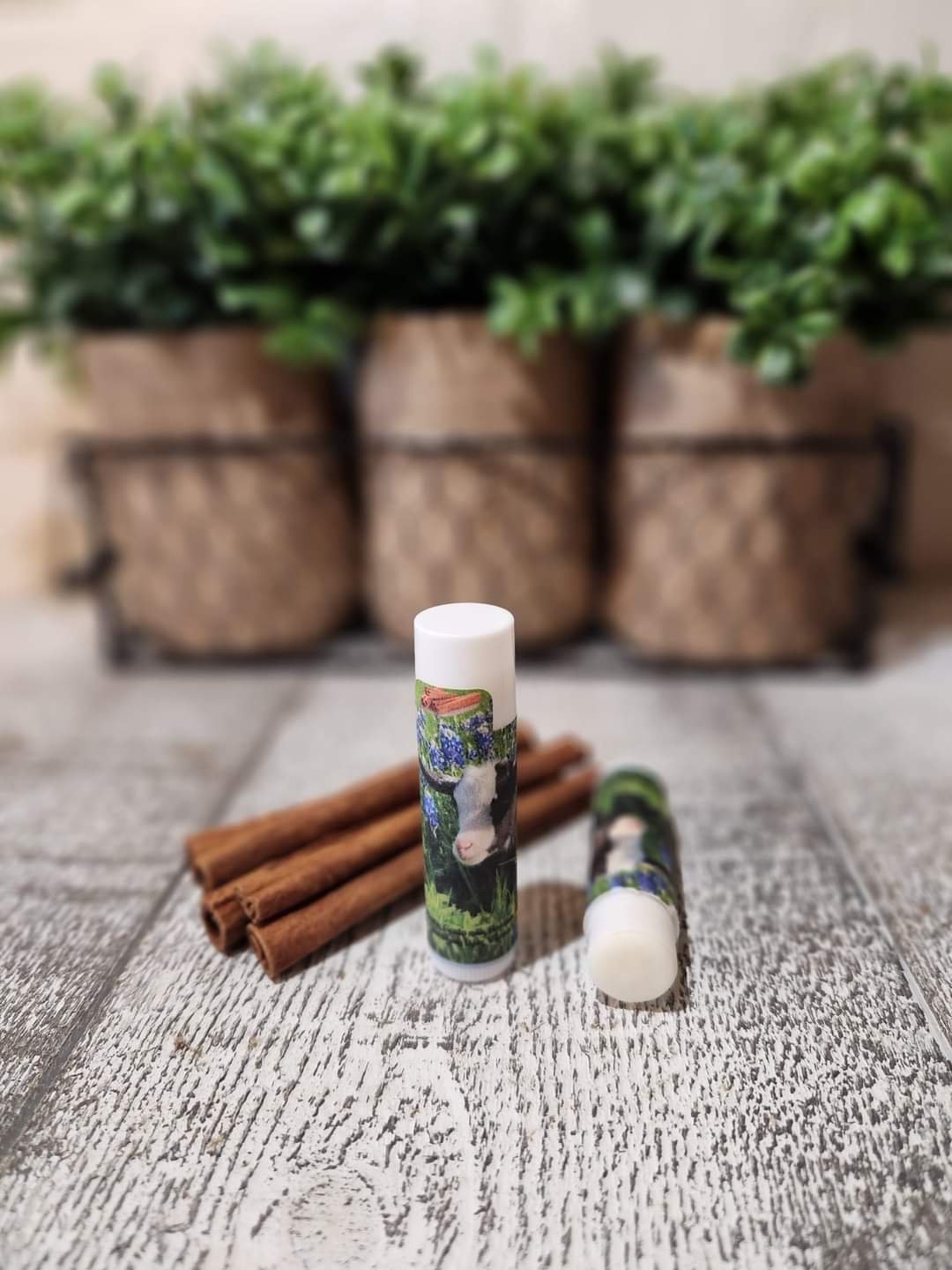 Cinnamon Lip Balm Photo.jpg