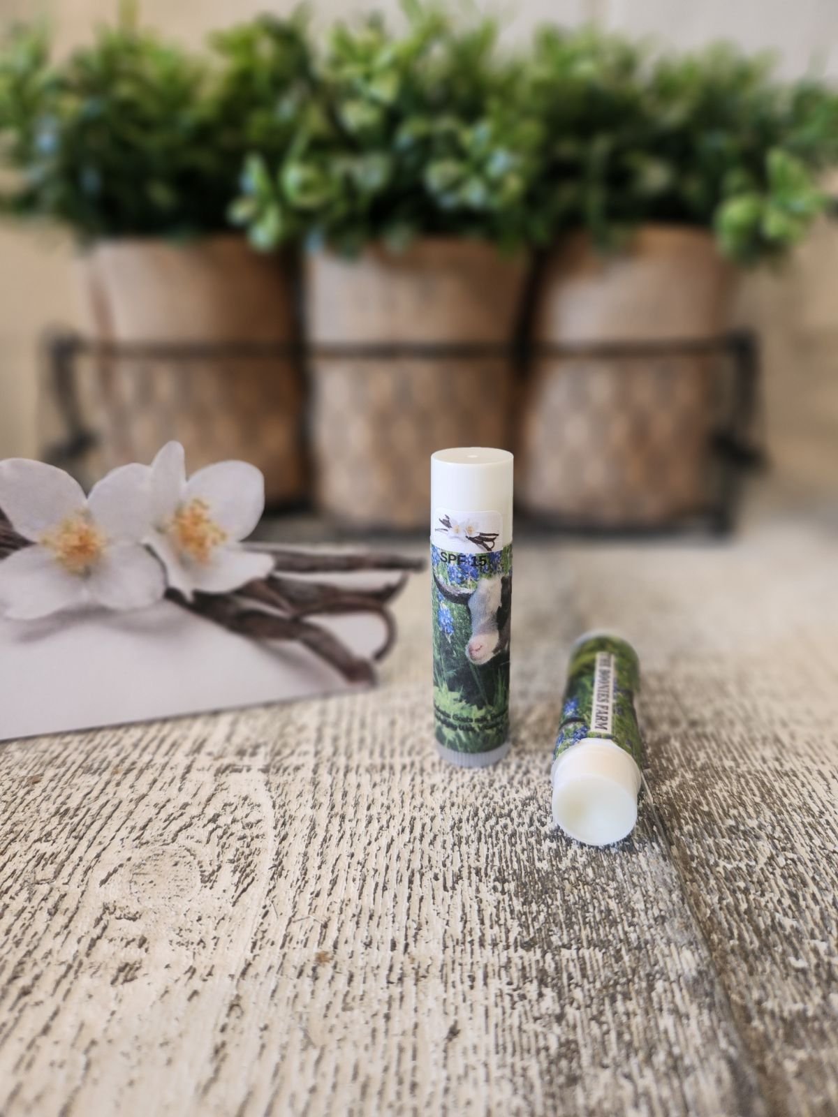 Vanilla Lip Balm.jpg