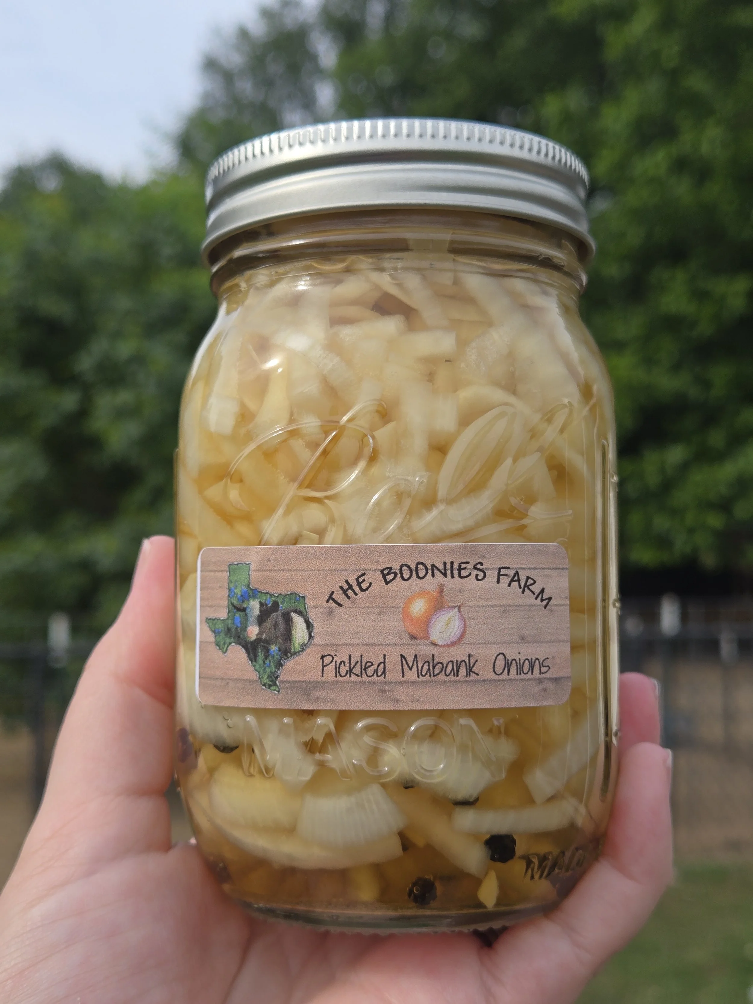 pickled mabank onion .jpg