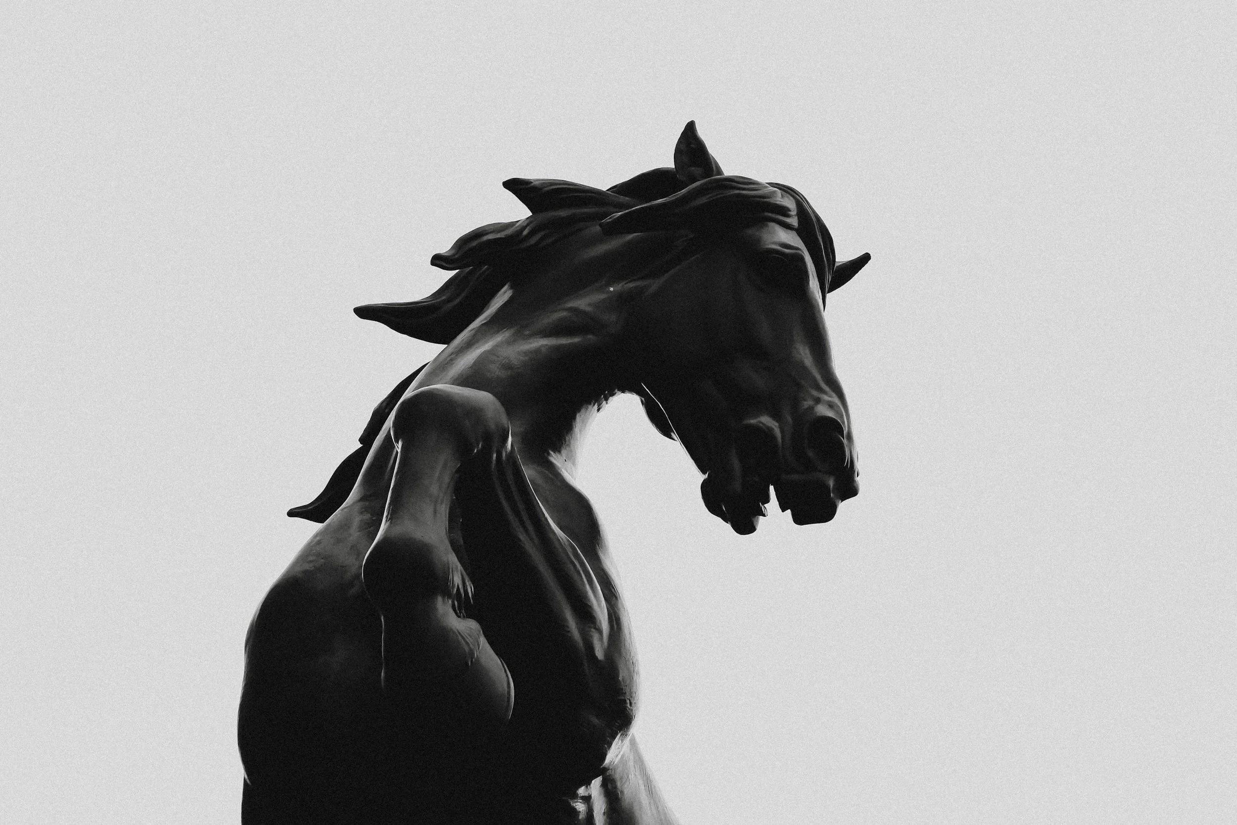 HER REIGN SERIES: Rosie Napravnik