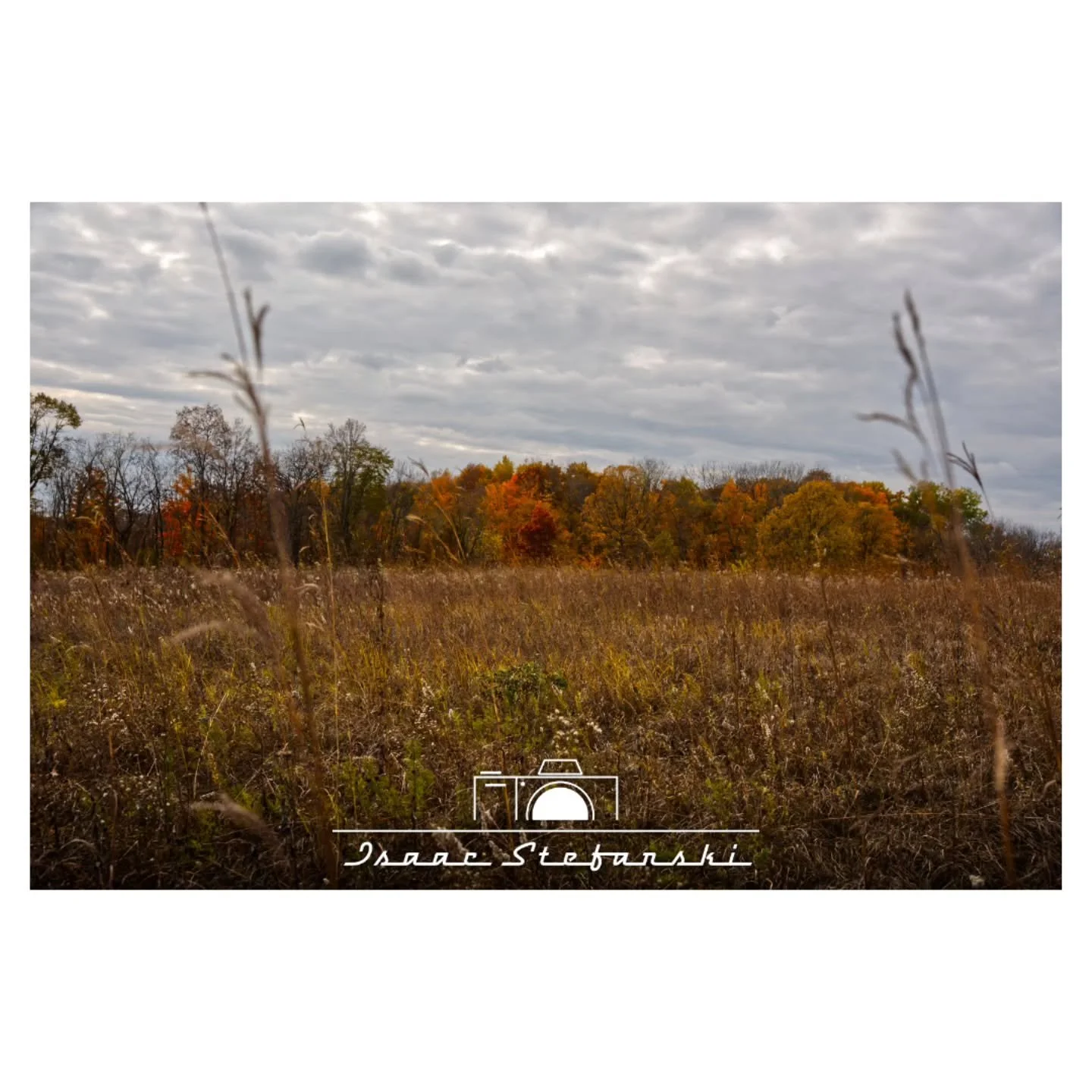 Fall views

Sony A7IV
Sigma 24-70mm f2.8 Art
ISO 125 | F5.6 | 40mm | 1/250s
.
.
#isaacstefanskiphotography #istefphotography #photography #professionalphotographer #sonya7iv #a7iv #sigma2470mmf28 #sigma2470mmf28art #sonyalpha #sonyalphagram #sonycame