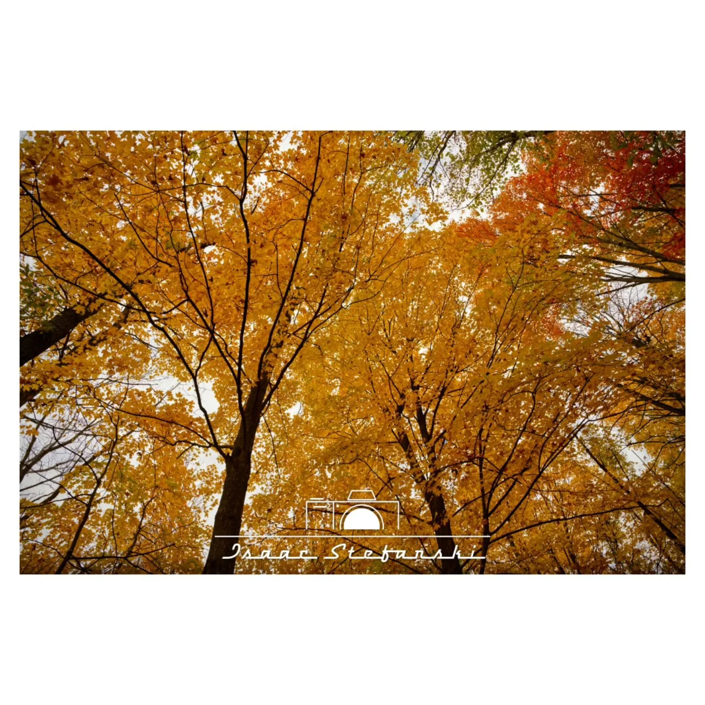 Fall views

Sony A7IV
Sigma 24-70mm f2.8 Art
ISO 320 | F5.3 | 24mm | 1/125s
.
.
#isaacstefanskiphotography #istefphotography #photography #professionalphotographer #sonya7iv #a7iv #sigma2470mmf28 #sigma2470mmf28art #sonyalpha #sonyalphagram #sonycame