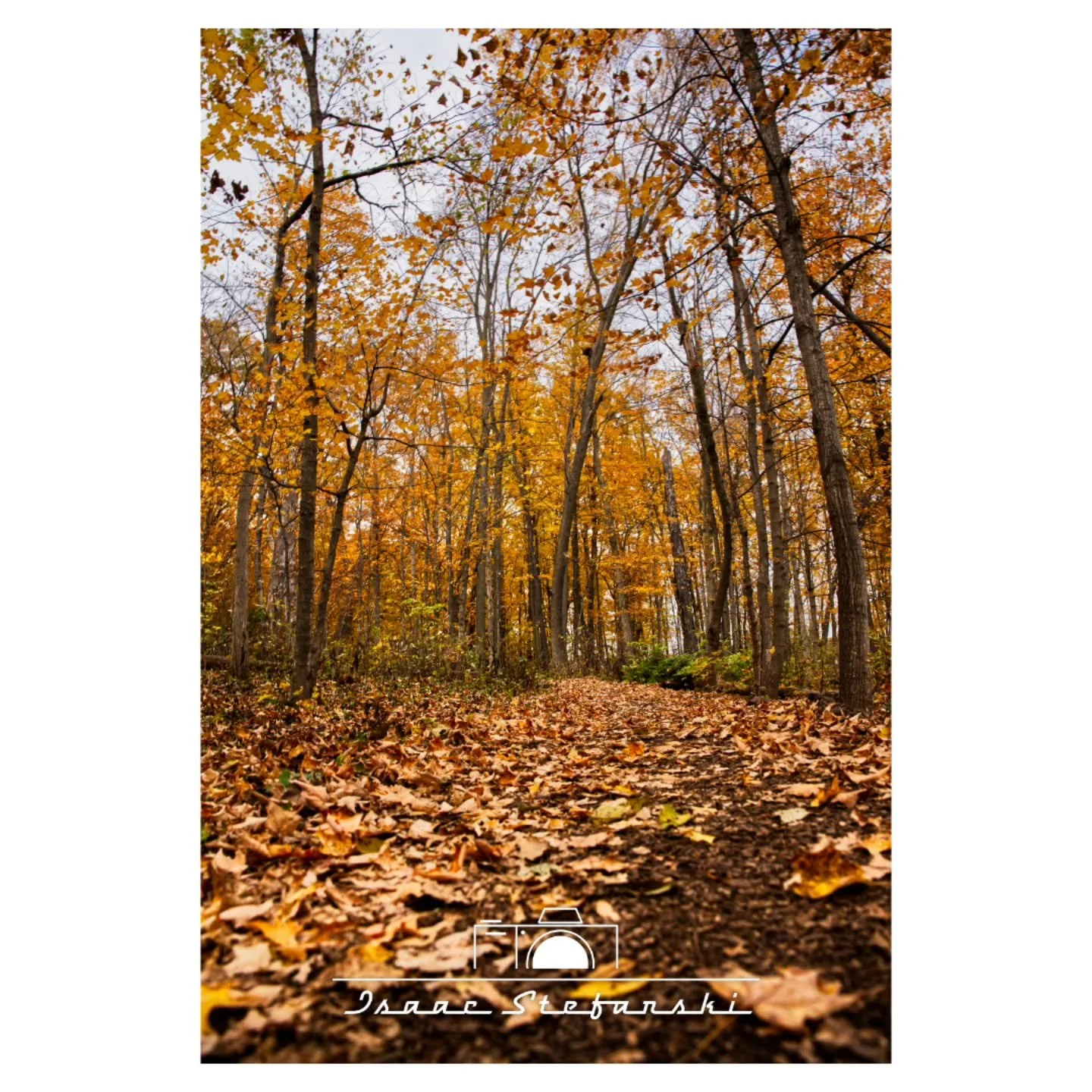 Fall views

Sony A7IV
Sigma 24-70mm f2.8 Art
ISO 125 | F4.5 | 24mm | 1/60s
.
.
#isaacstefanskiphotography #istefphotography #photography #professionalphotographer #sonya7iv #a7iv #sigma2470mmf28 #sigma2470mmf28art #sonyalpha #sonyalphagram #sonycamer