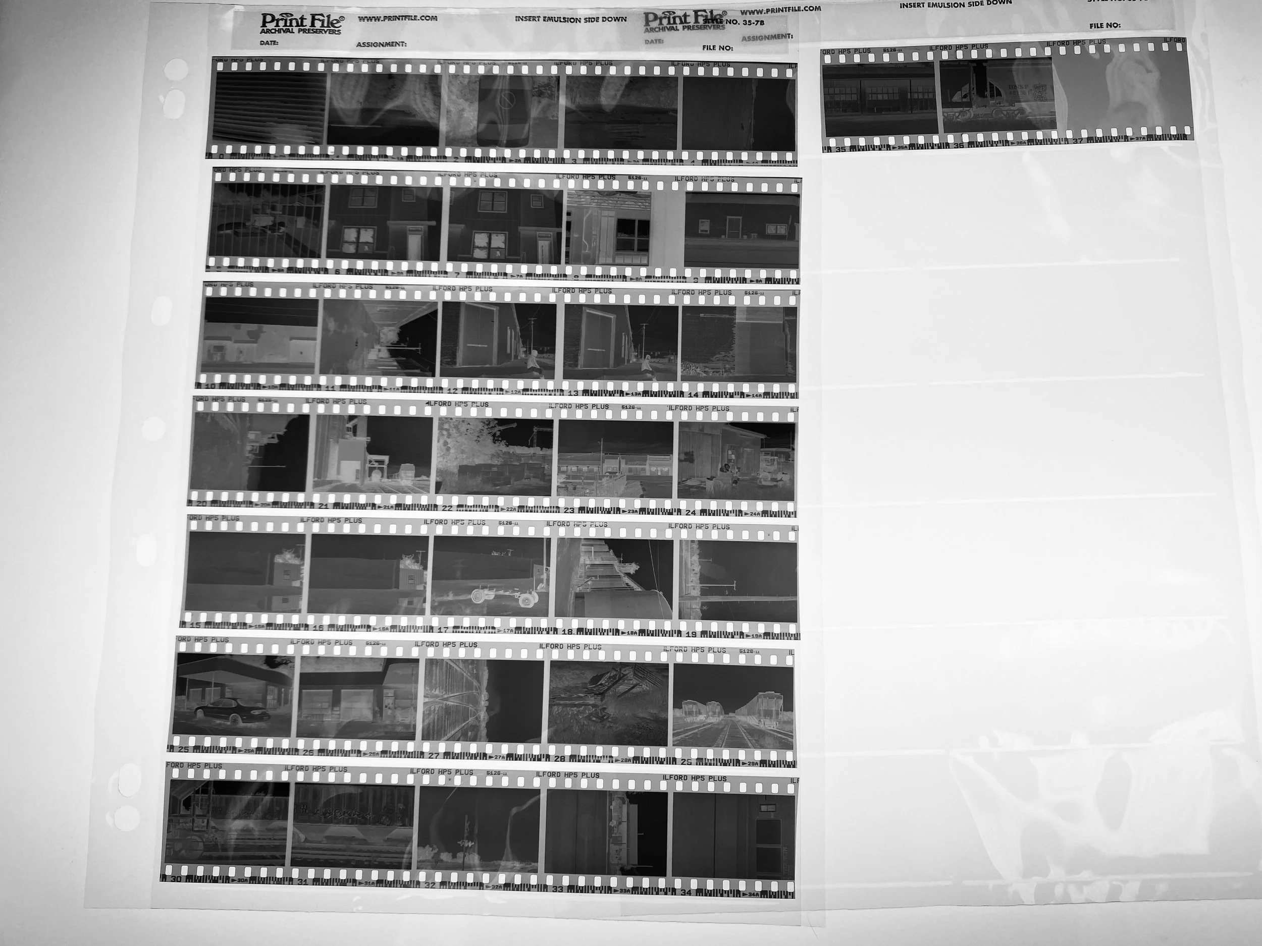 film photography negatives after developing