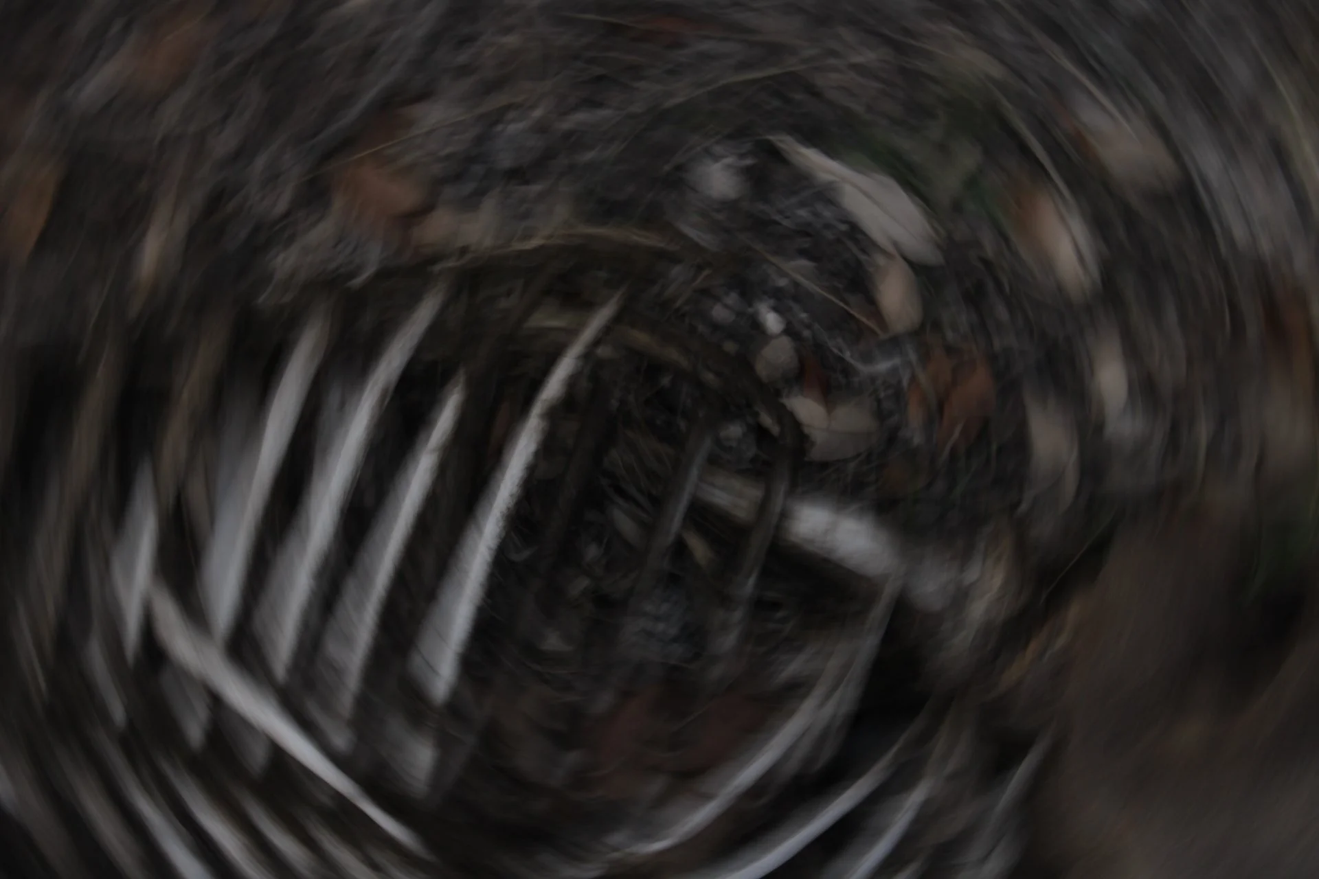 bones motion photography featured as a finalist in texas photographic society new visions 2023 collegiate online exhibit