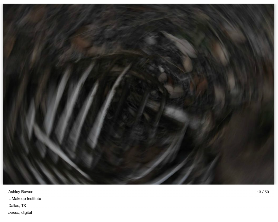 texas photographic society's #newvisions2023 competition finalist