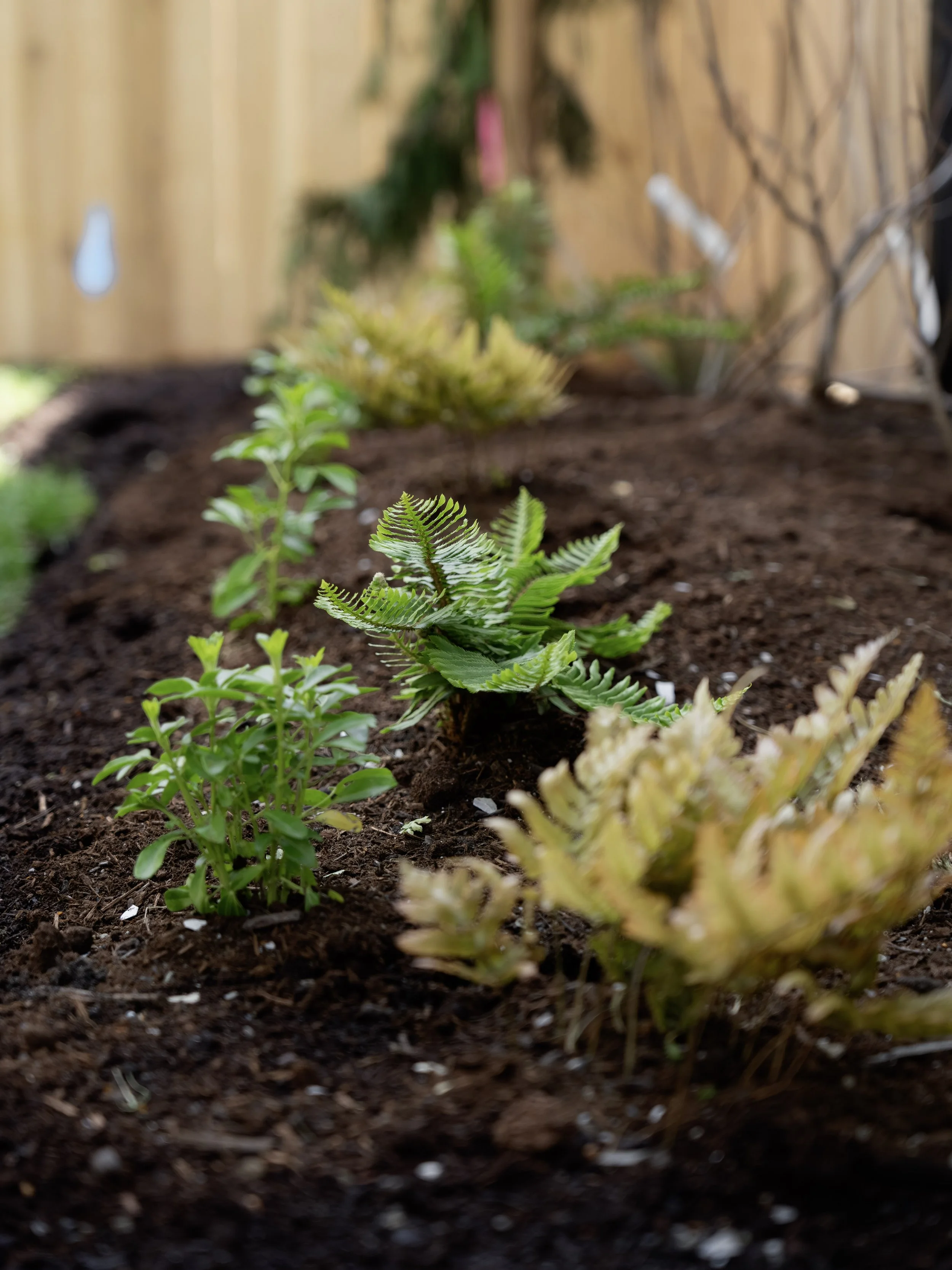 UrbanThrive_Folk_-49.jpg