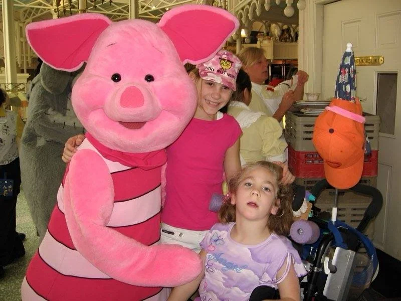 2008 we went to Disney World