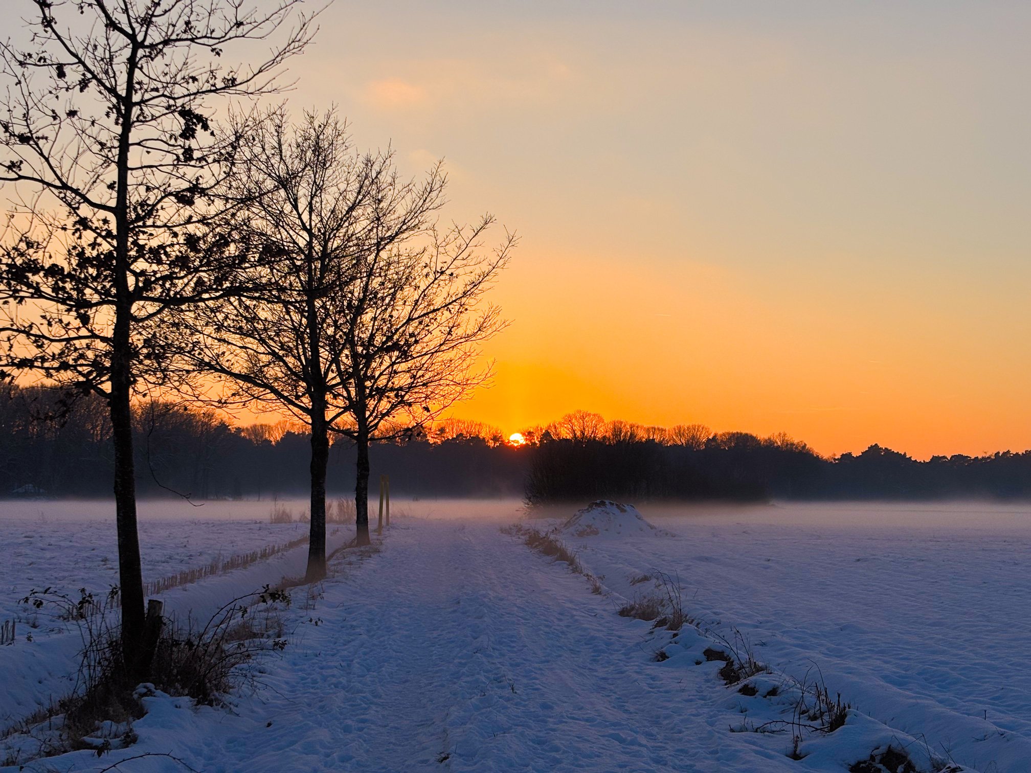 Nieuw jaar, oud gevoel?